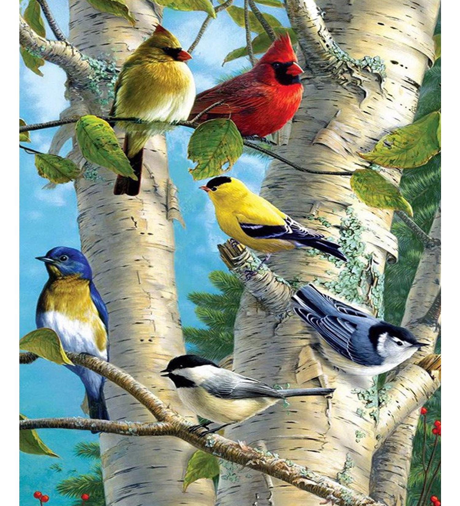 iCoostor Paint by Numbers DIY Acrylic Painting Kit - Branch Magpie Pattern - 16x20 - for Kids & Adults Beginners - Buy Online on GoSupps.com