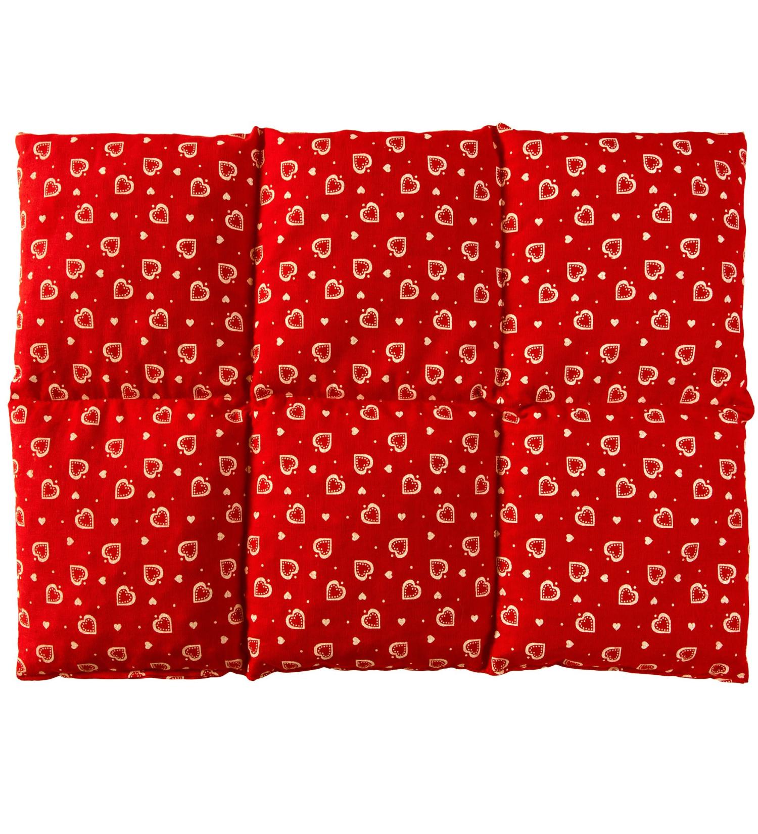 Large 40x30cm Grape Seed Pillow | 6-Chamber Design | Heat & Cold Therapy | Hearts Red Color - Buy Online on GoSupps.com