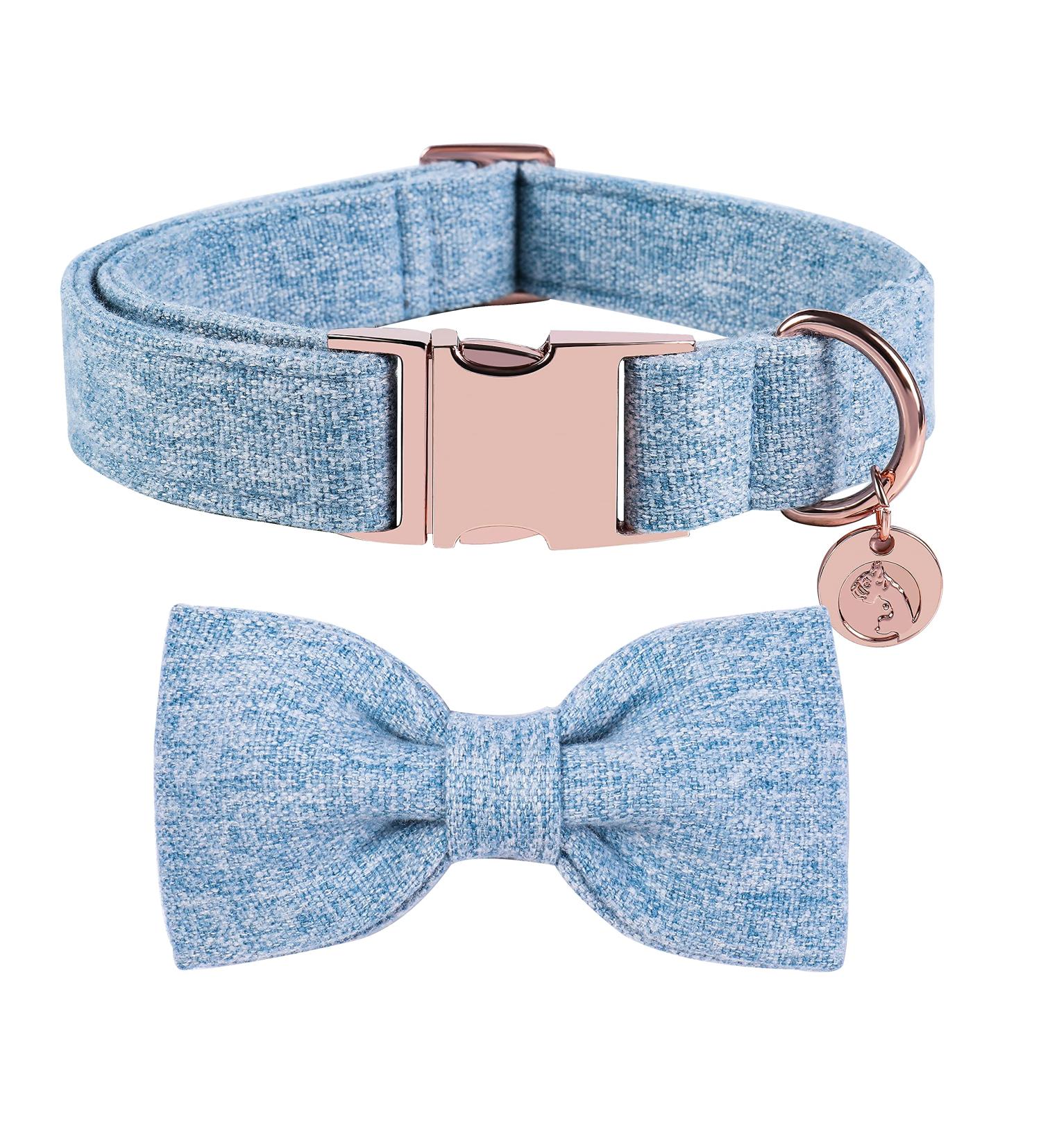 Buy Dogwong Adjustable Blue Dog Collar with Removable Fly | Comfortable Pet Collar for Small & Medium Dogs | Perfect Gift for Girls - Buy Online on GoSupps.com