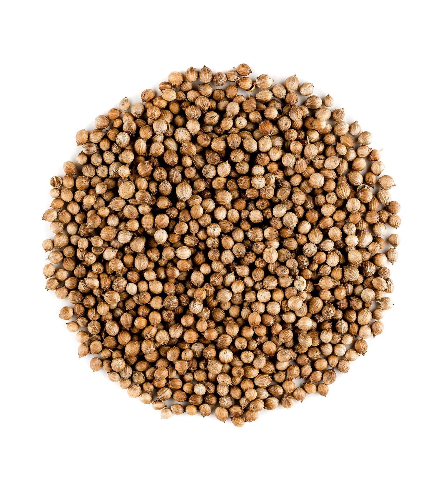 Organic Gourmet Coriander Seed - Elevate Dishes with High-Quality Cilantro Seeds - 100g (3.53 oz) - Buy Online on GoSupps.com
