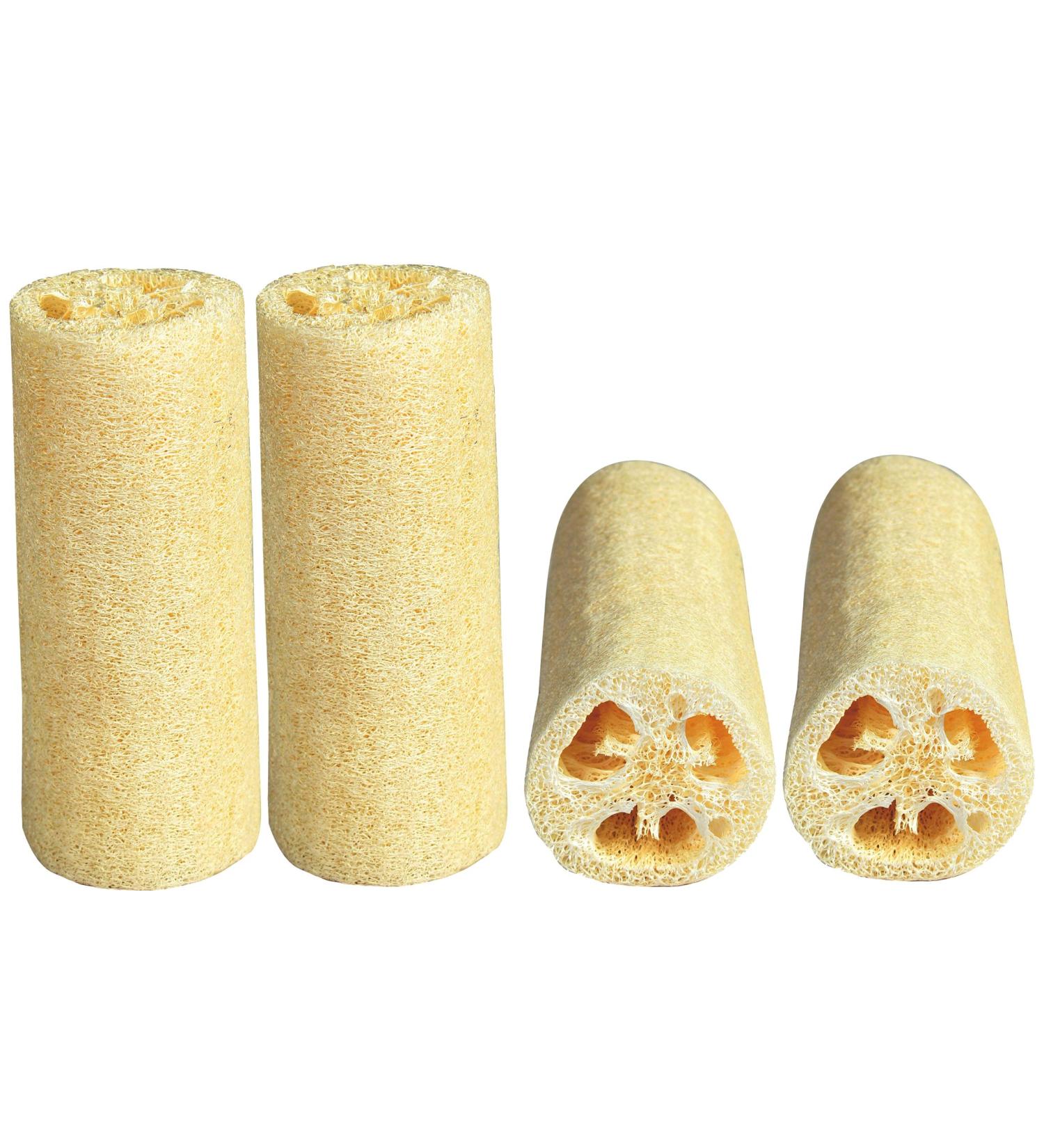 LUXEHOME 4-Pack 6 Natural Loofah Sponges for Household and Skin Care - Buy Online on GoSupps.com