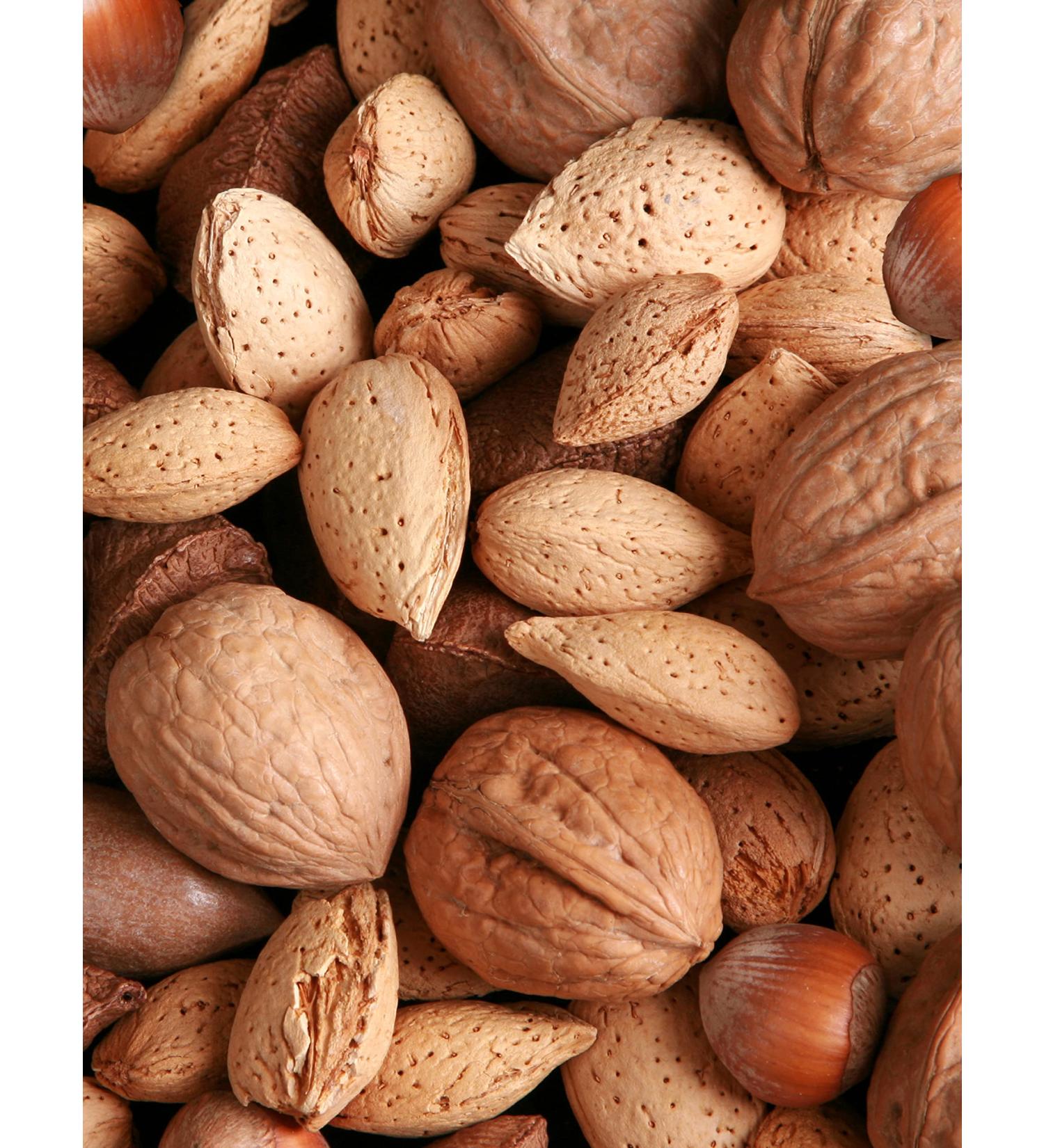 Premium Mixed Nuts in Shell 8lb Box - Walnuts, Pecans, Almonds, Hazelnuts, Brazil Nuts - 8lb Pack - Anna and Sarah - Buy Online on GoSupps.com