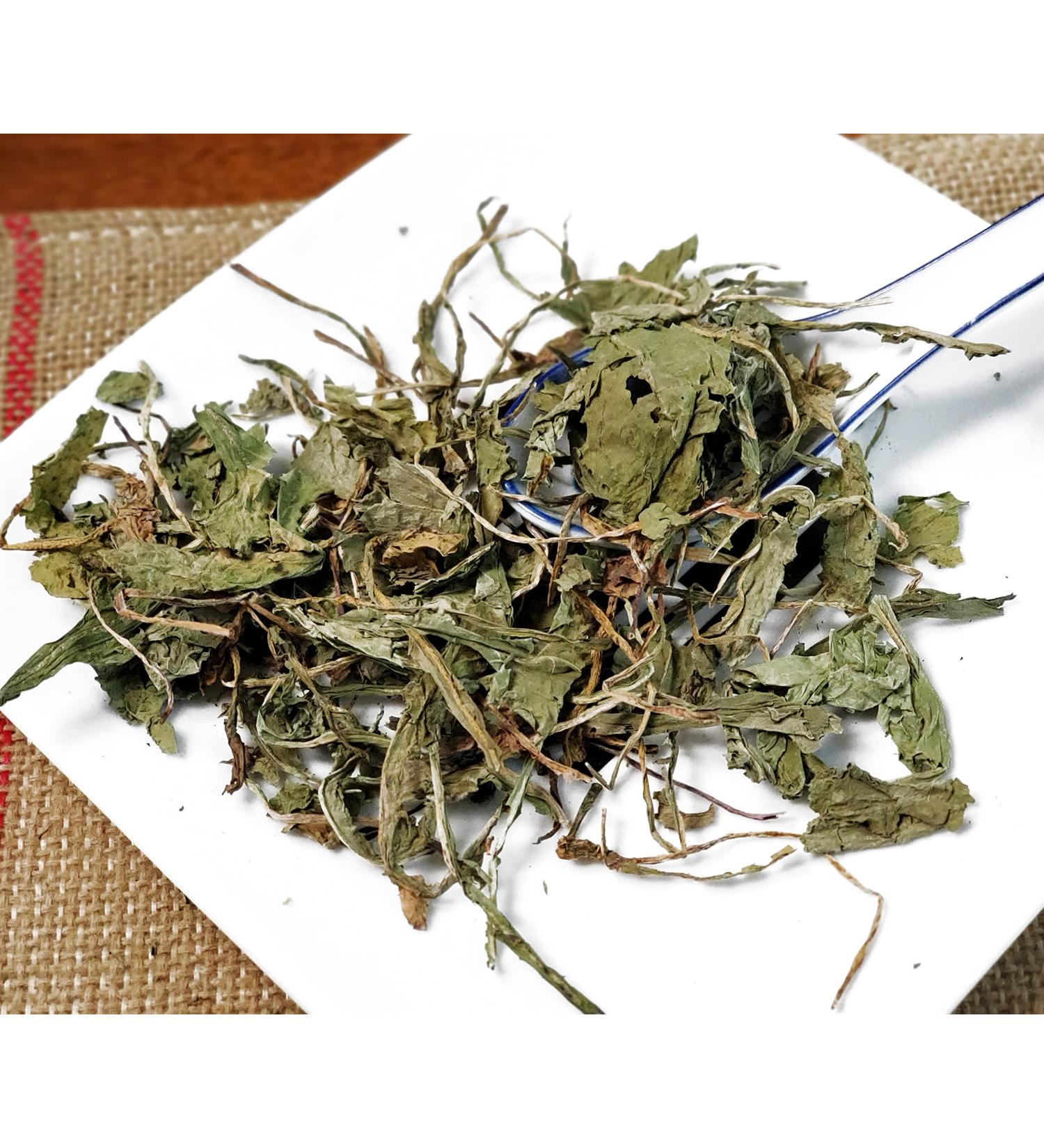 TCM Herbs USA Pu Gong Ying / Herba Taraxaci / Taraxacum / Mongolian Dandelion herb (4 oz) 4 Ounce