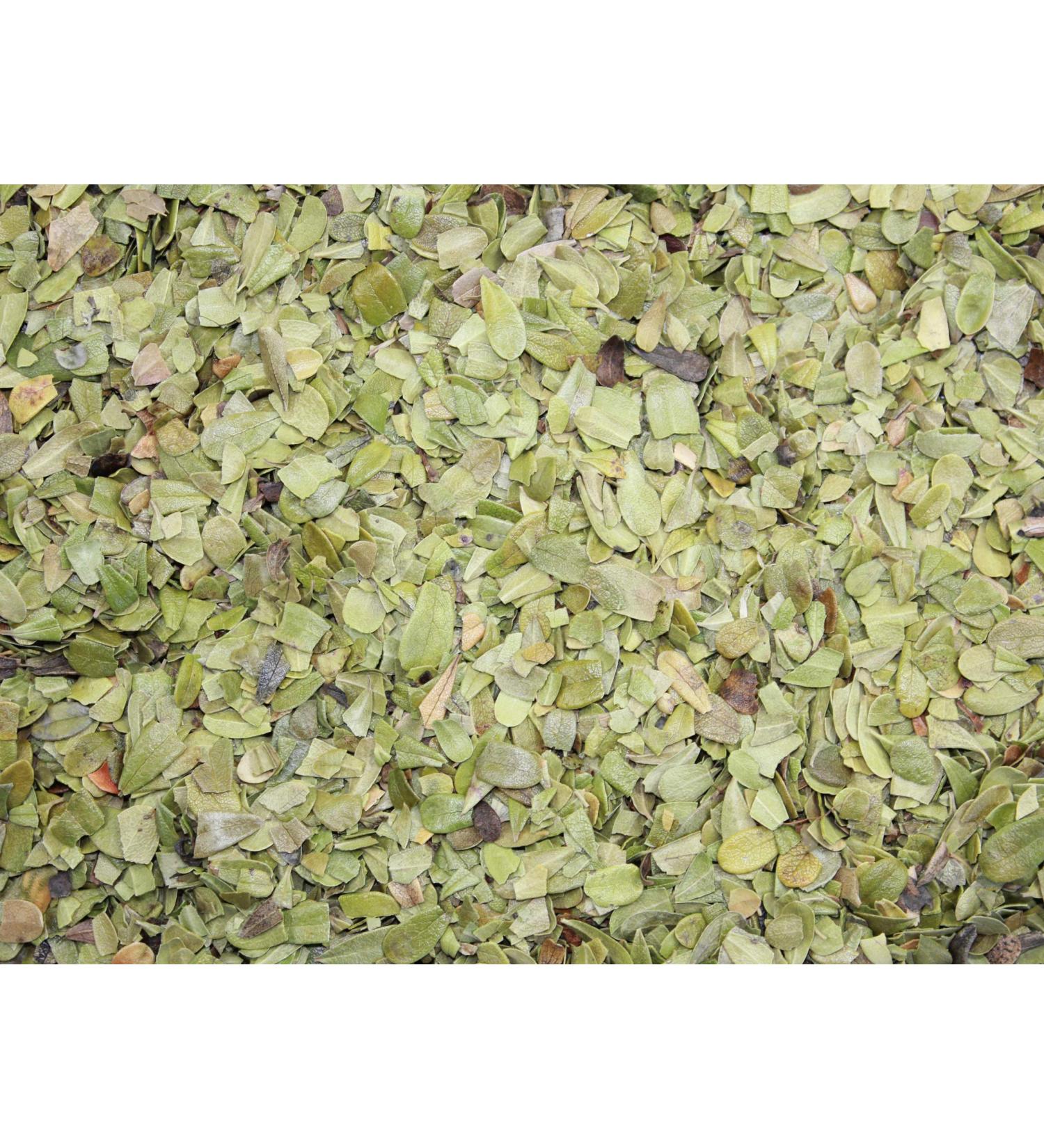 1000Kr uter 1000Kr uter Teapot in the shape of cut bear leaves (2000 g)