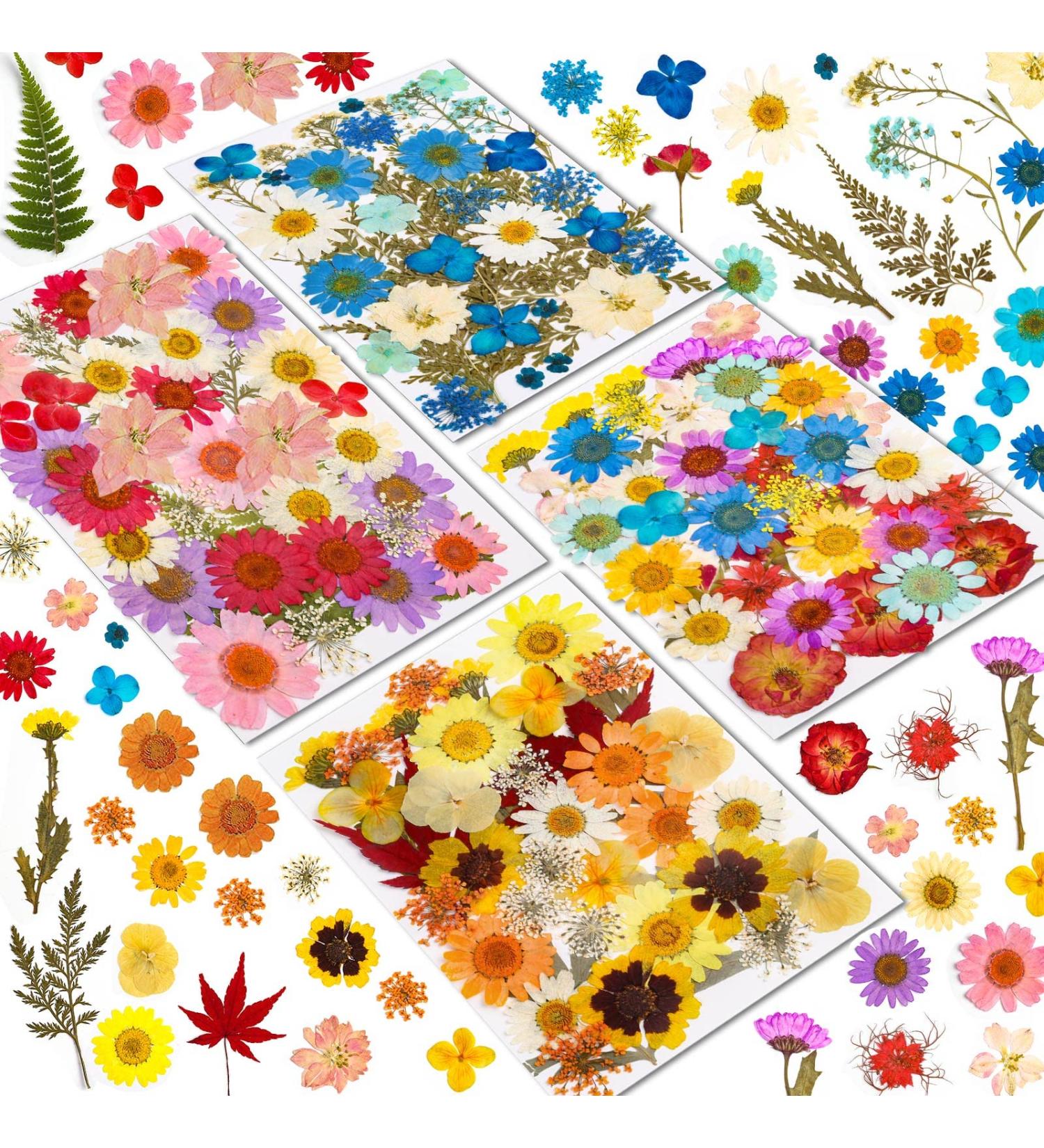 Real Dried Pressed Flowers for Resin - 150 Pcs Natural Dry Flowers & Leaves Kit for DIY Crafts - Scrapbooking, Jewelry Making, Candle & Soap Making Supplies - Buy Online on GoSupps.com