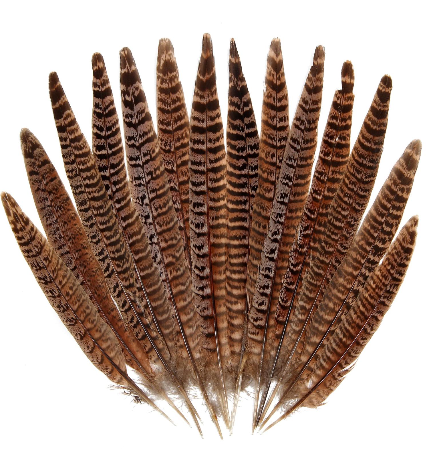 iHUFeather 20pcs Natural Pheasant Female Tails Feathers 6-8inch for DIY Crafts & Decor - Buy Online on GoSupps.com