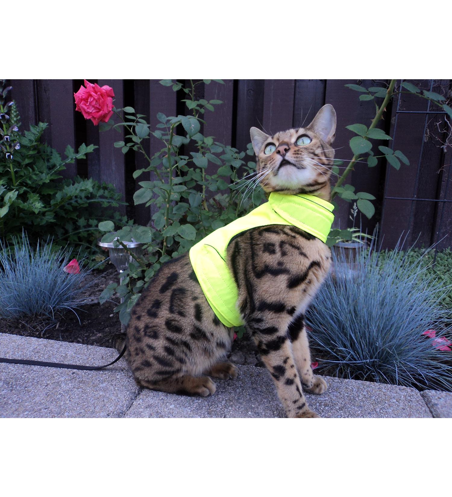 Mynwood Cat Jacket/Harness High Viz Adult Cat - Buy Online on GoSupps.com