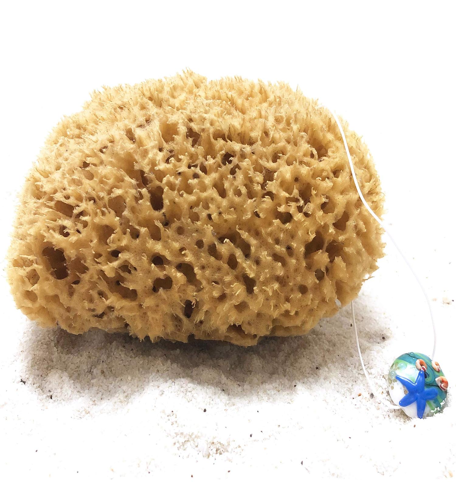 Tom & Pat Natural Sponge - Premium Quality Bathing & Shower Sponge from Greece | Dermatest Very Good 25-26 cm Body Peeling Sponge with Cord & Glass Trailer - Buy Online on GoSupps.com