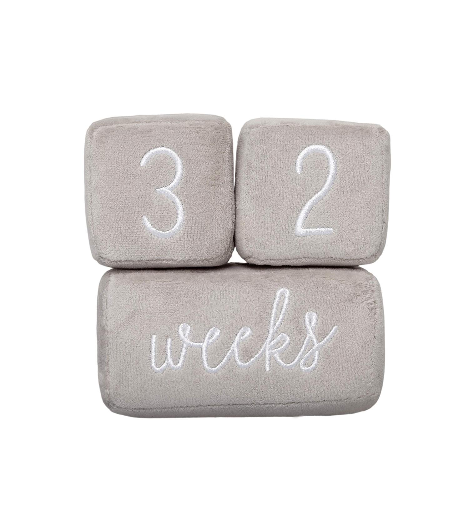 Pearhead Baby Plush Age Blocks - Set of 3 Gray Blocks for Photo Sharing Milestones - Buy Online on GoSupps.com