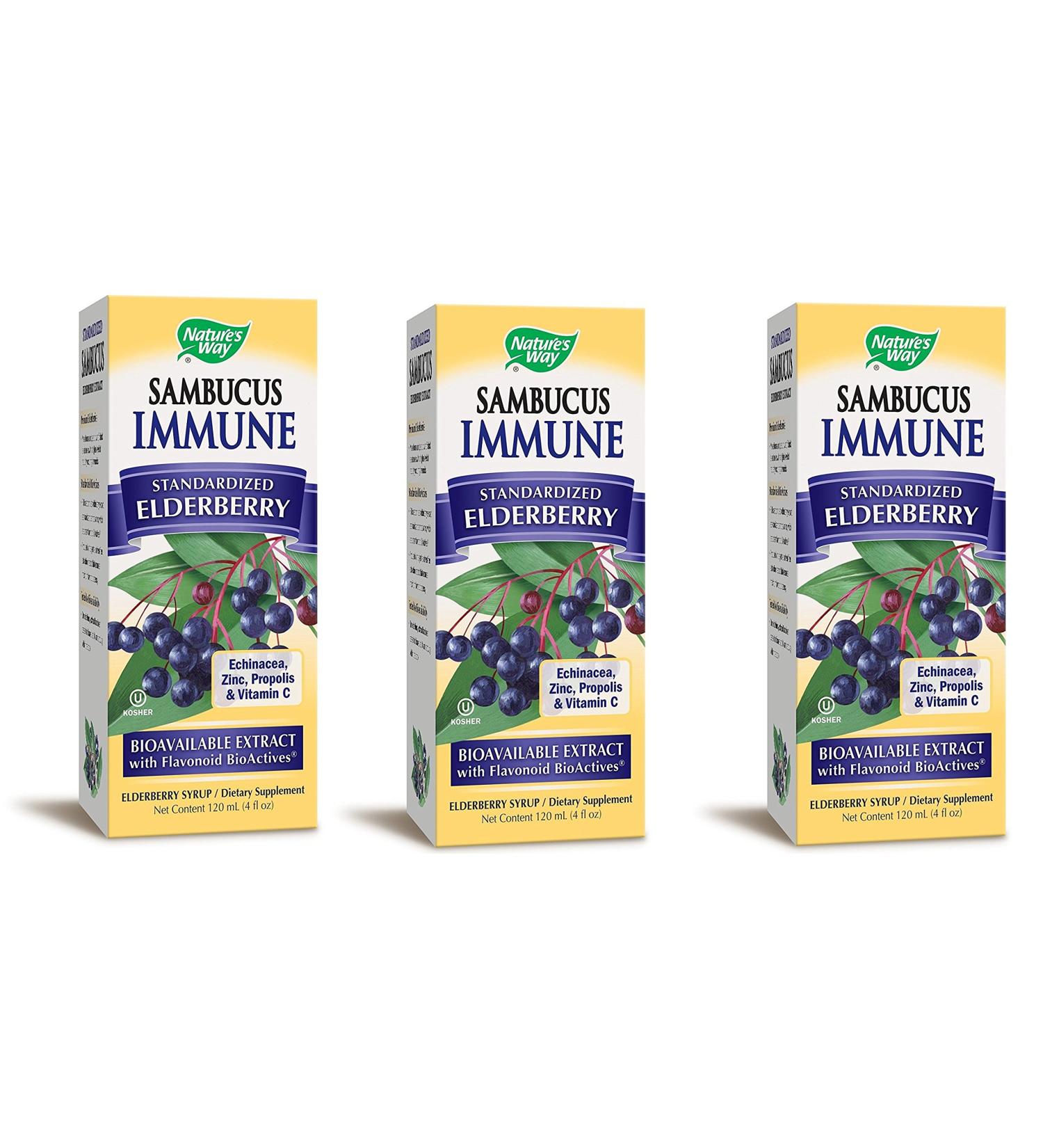 Nature's Way Sambucus Immune Elderberry Standardized 4 fl oz (120 ml)