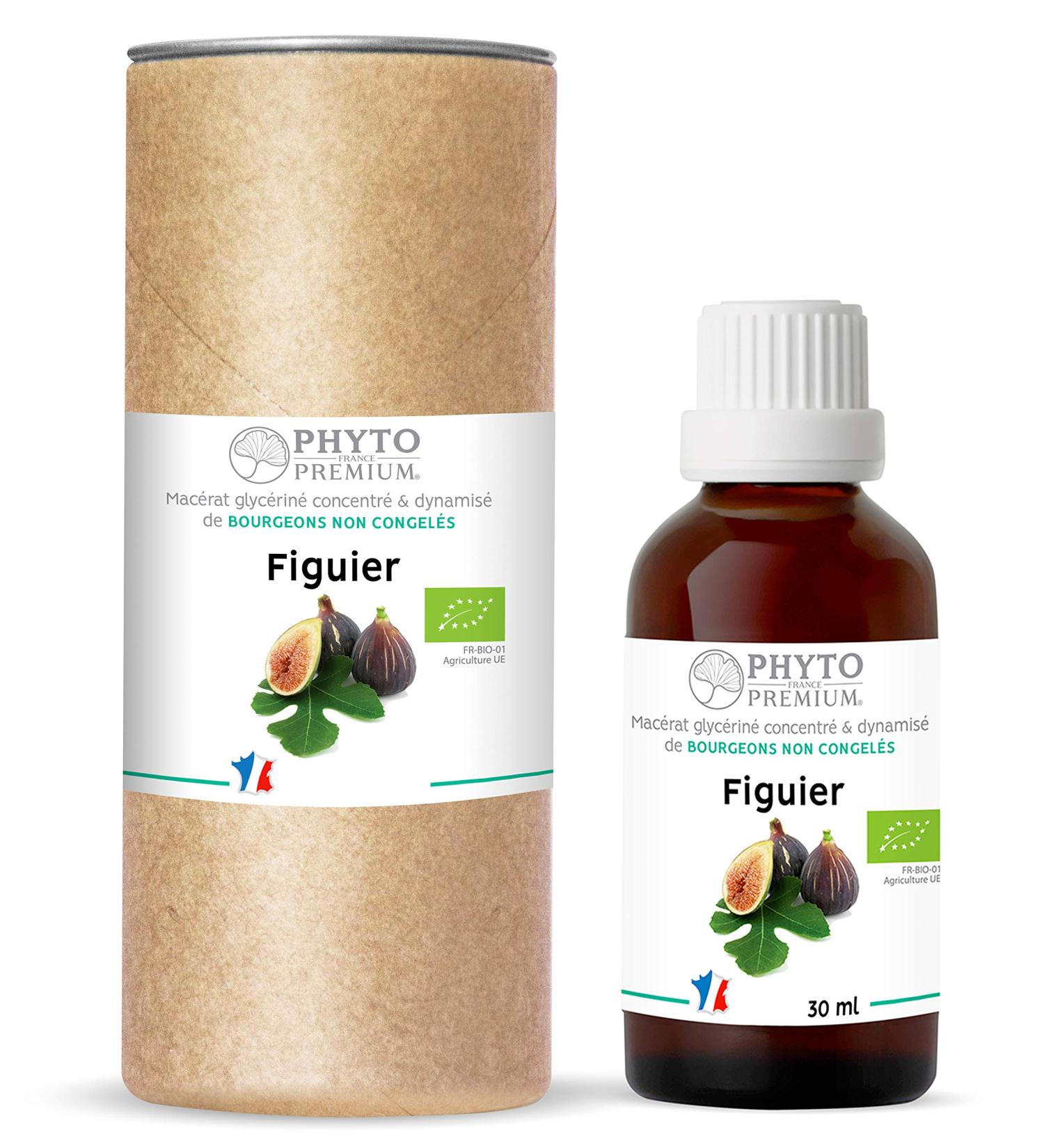 Gemmotherapy FIG TREE - Ficus carica (ORGANIC)