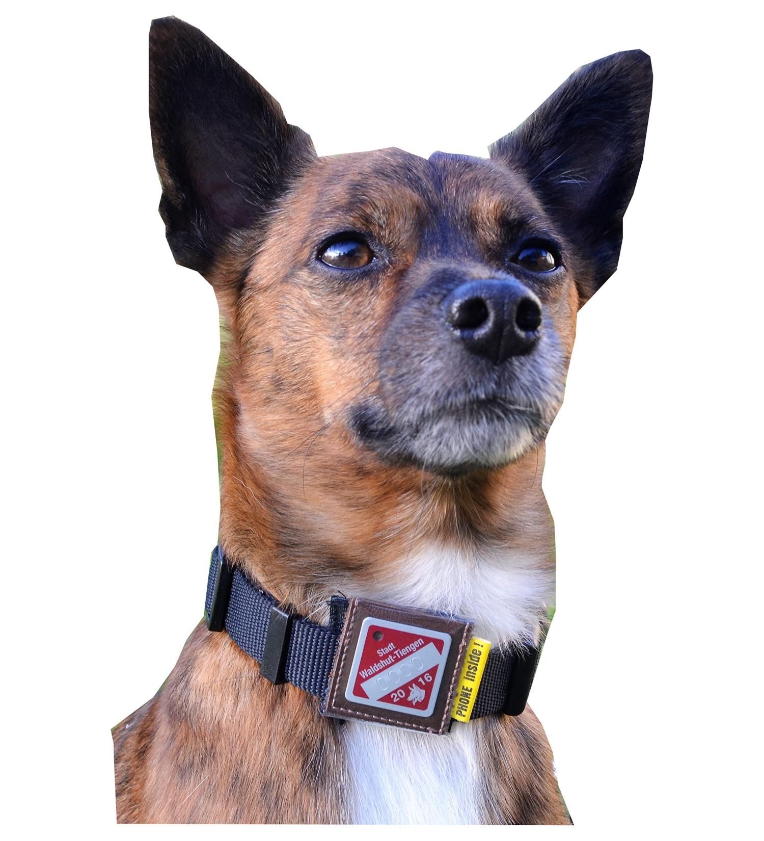 Josi.li Protective Cover for Dog Stark - Premium Leather Dog Brand Bag for Collars & Dishes (Up to 33x33mm) - International Shipping Available - Buy Online on GoSupps.com