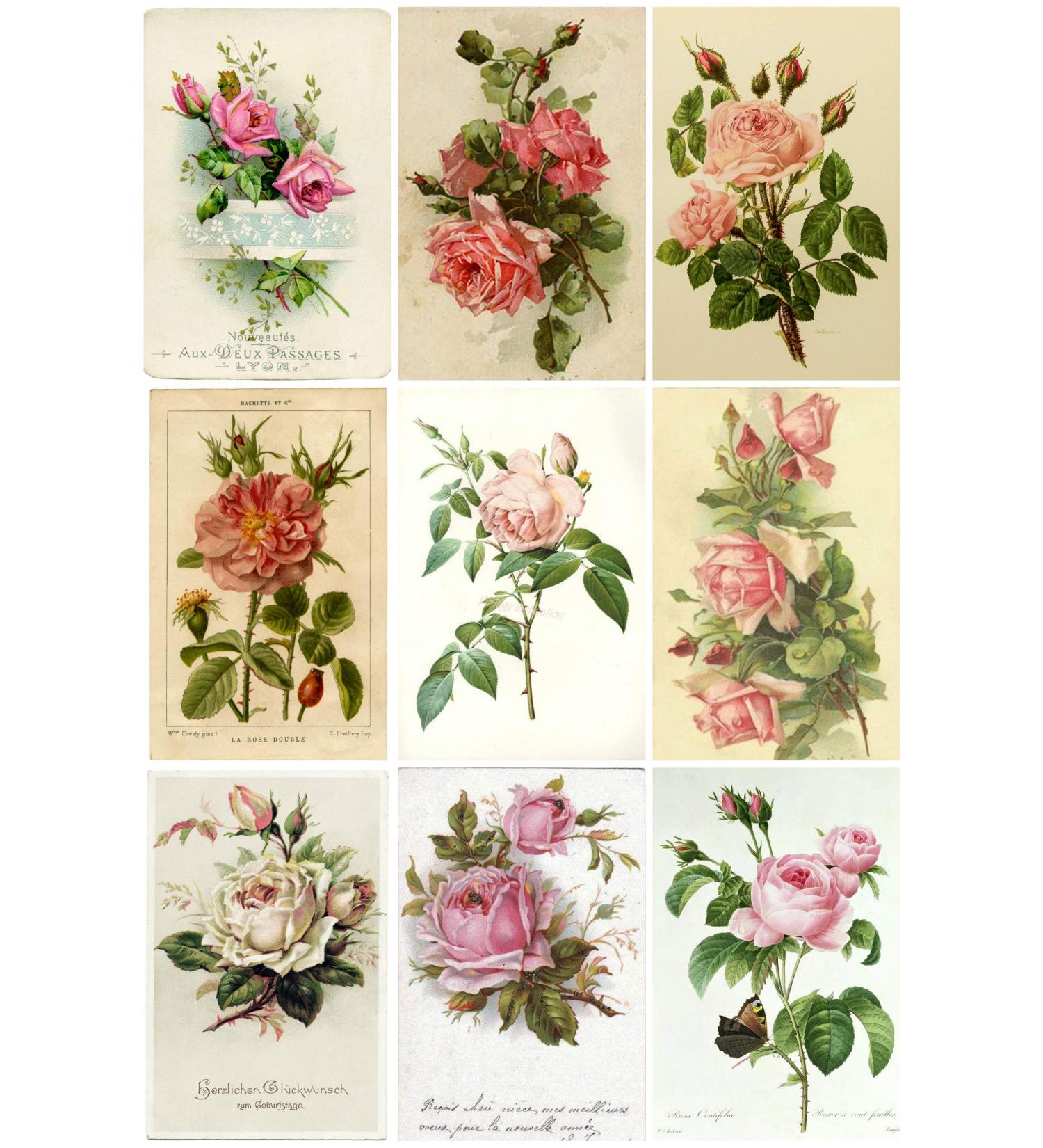 Vintage French Roses #2 Collage Sheet 8.5 x 11"