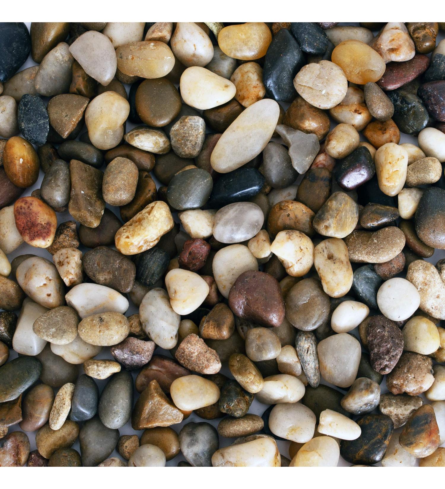 Galashield 2 lb Bag Polished River Rocks for Plants, Vases, Landscaping, Aquariums - 1-2 cm Decorative Stones - Buy Online on GoSupps.com