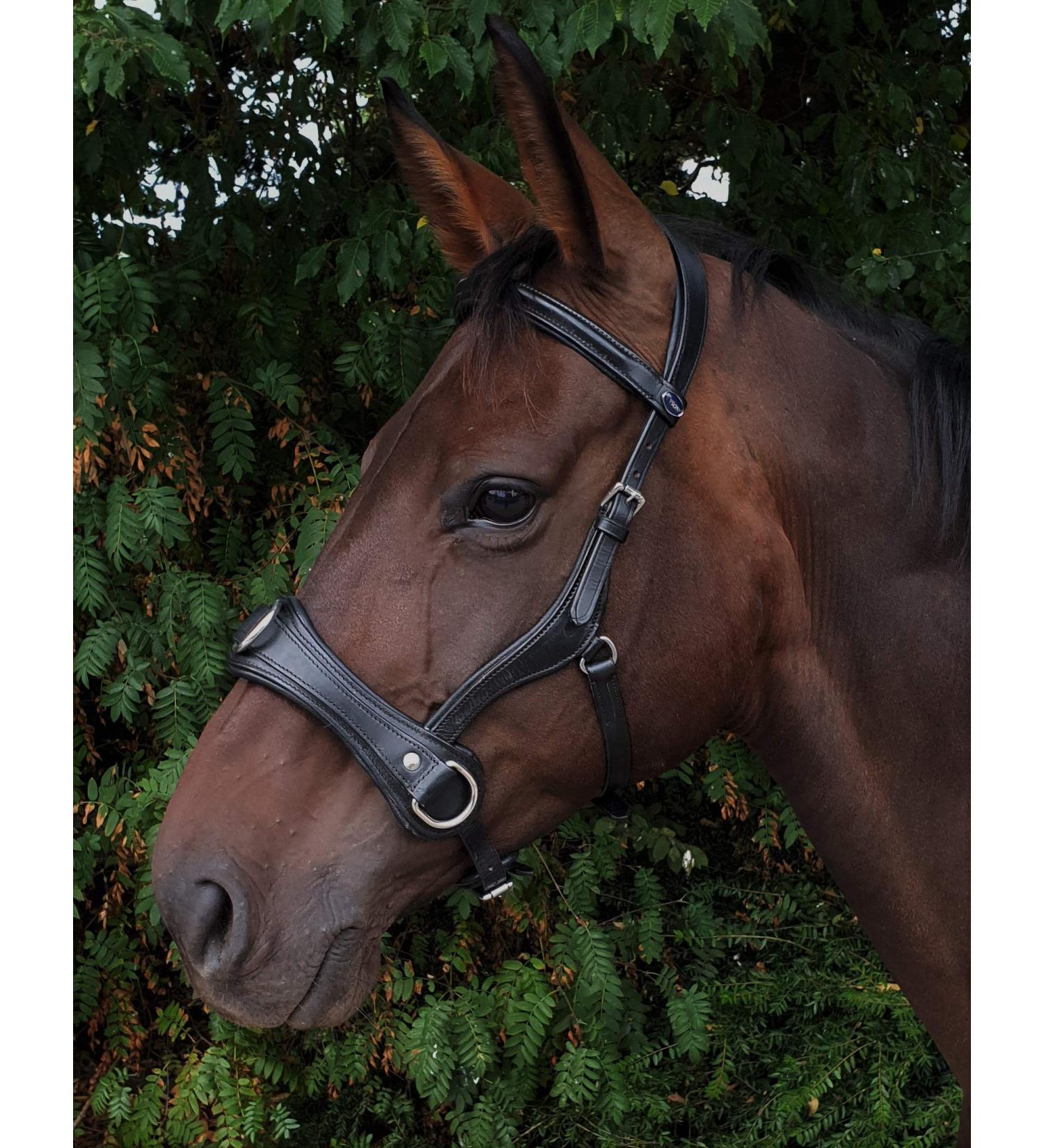 Natan Leather Cavesson - Ergonomic Eye Clearance for VB WB & X Full Coldblood | Large Fit Available - Buy Online on GoSupps.com