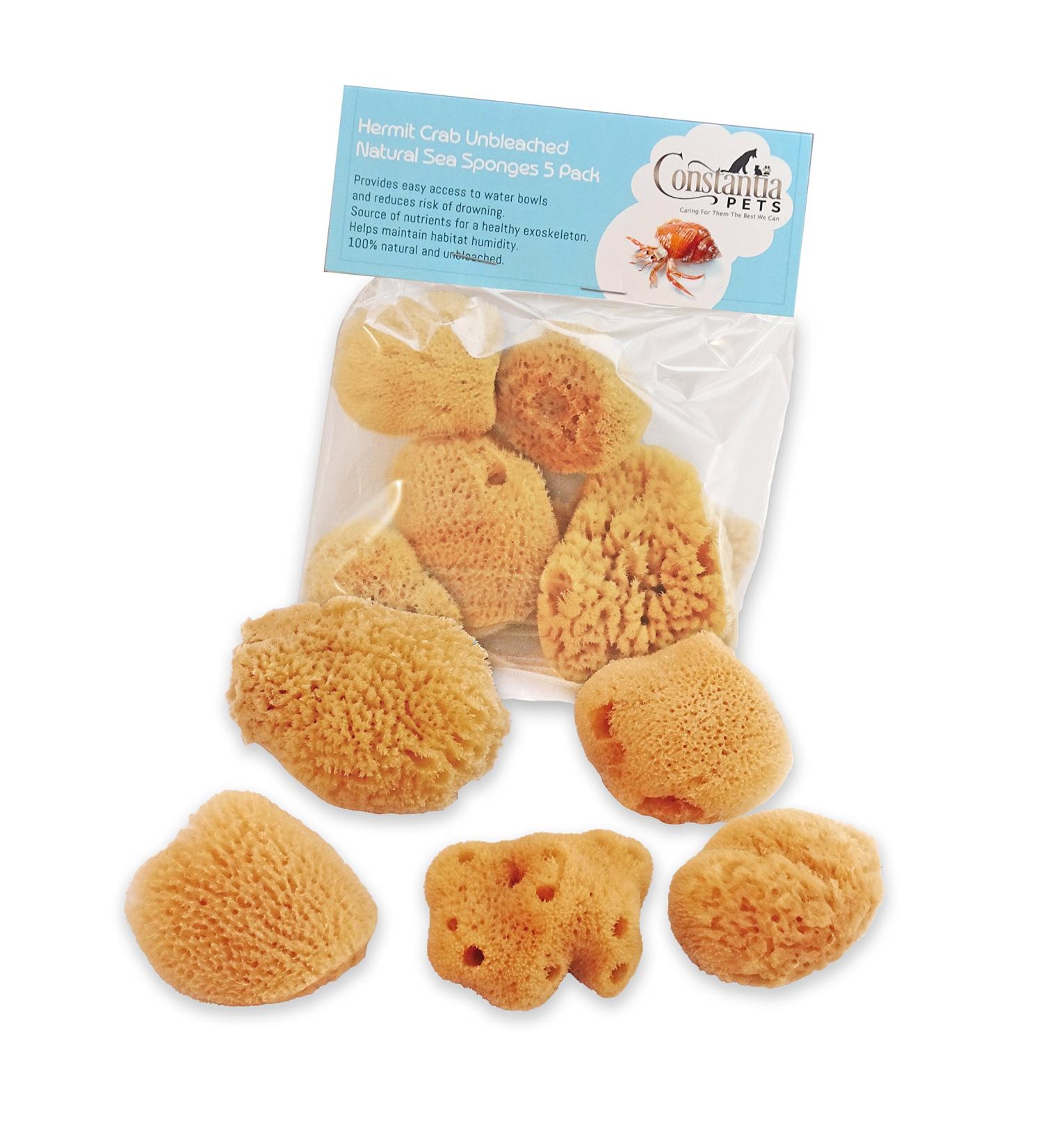 Constantia Pets Hermit Crab Real Sea Sponges - 5 Pack | Nutrient-Rich & Safer Drinking | Maintain Habitat Tank Humidity - Buy Online on GoSupps.com