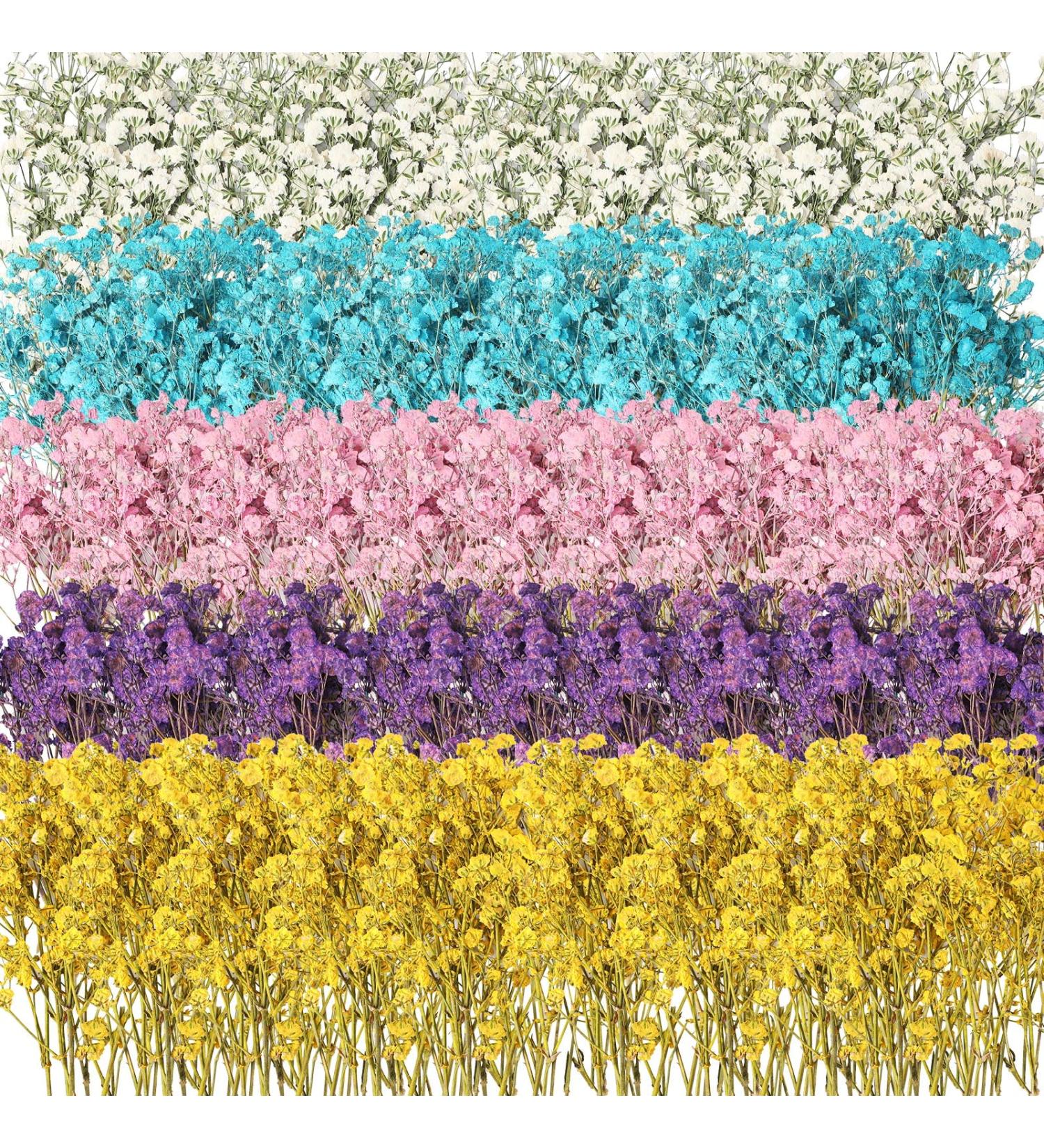 Dried Babys Breath Flowers - 100 Pcs Natural Gypsophila Branches for DIY Crafts and Gifts - Mixed Color Pressed Baby's Breath Flowers - Buy Online on GoSupps.com