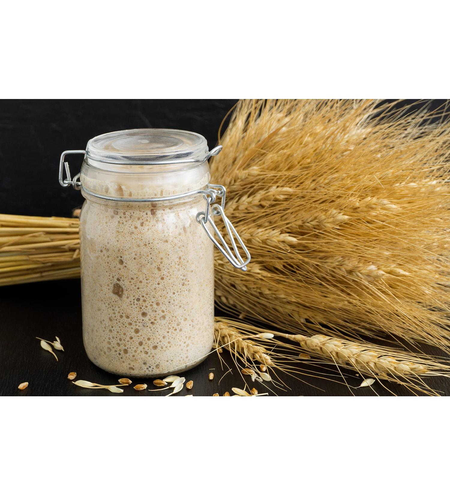 Kombuchaorganic Sourdough Bread Starter Culture Genuine Certified Organic White Bread Lake District Wild Yeast ALL TYPES OF FLOUR - Buy Online on GoSupps.com