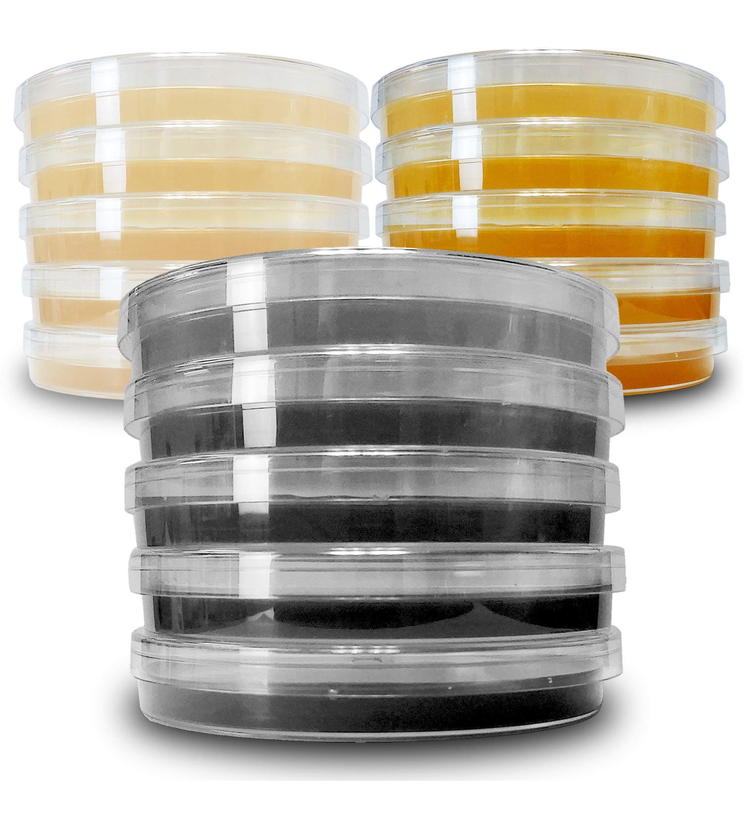 Agar Variety Kit by Evviva Sciences - Premium Performance for Mushrooms & Science Projects - Buy Online on GoSupps.com