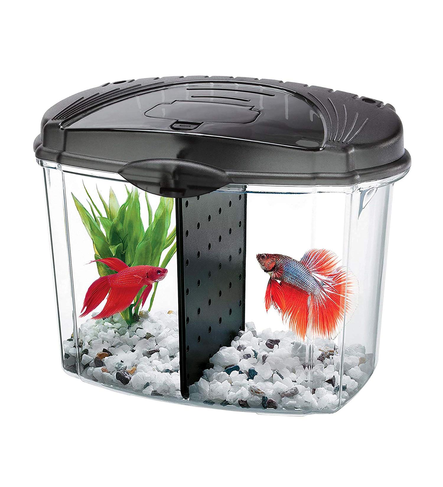 Aqueon Betta Bowl Kit Black | 0.5 Gallon | Complete Betta Fish Tank Setup - Buy Online on GoSupps.com