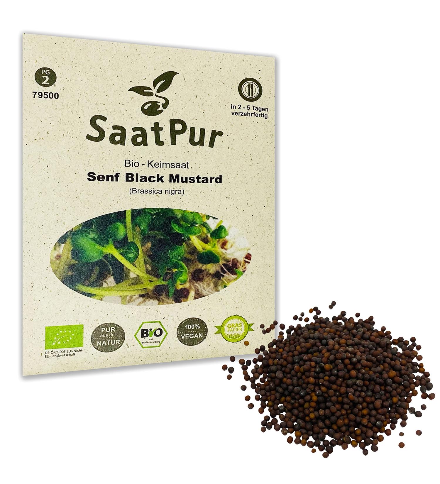 SaatPur Organic sprouts black mustard microgreens 30 g - Buy Online on GoSupps.com