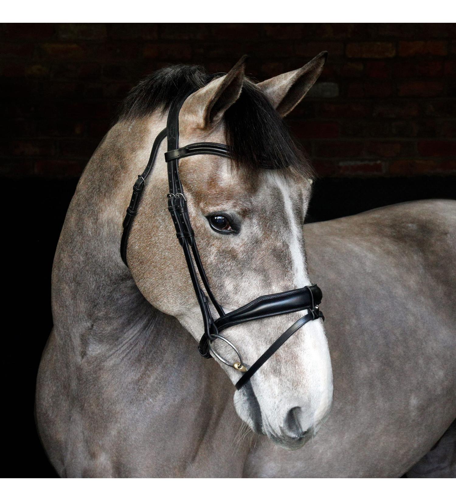 Harry Hall Cottage Craft Flash Bridle | Anatomical Horse Bridles | Flash Noseband For Pony Cob Full Extra Full | Leather Tack Full Black - Buy Online on GoSupps.com