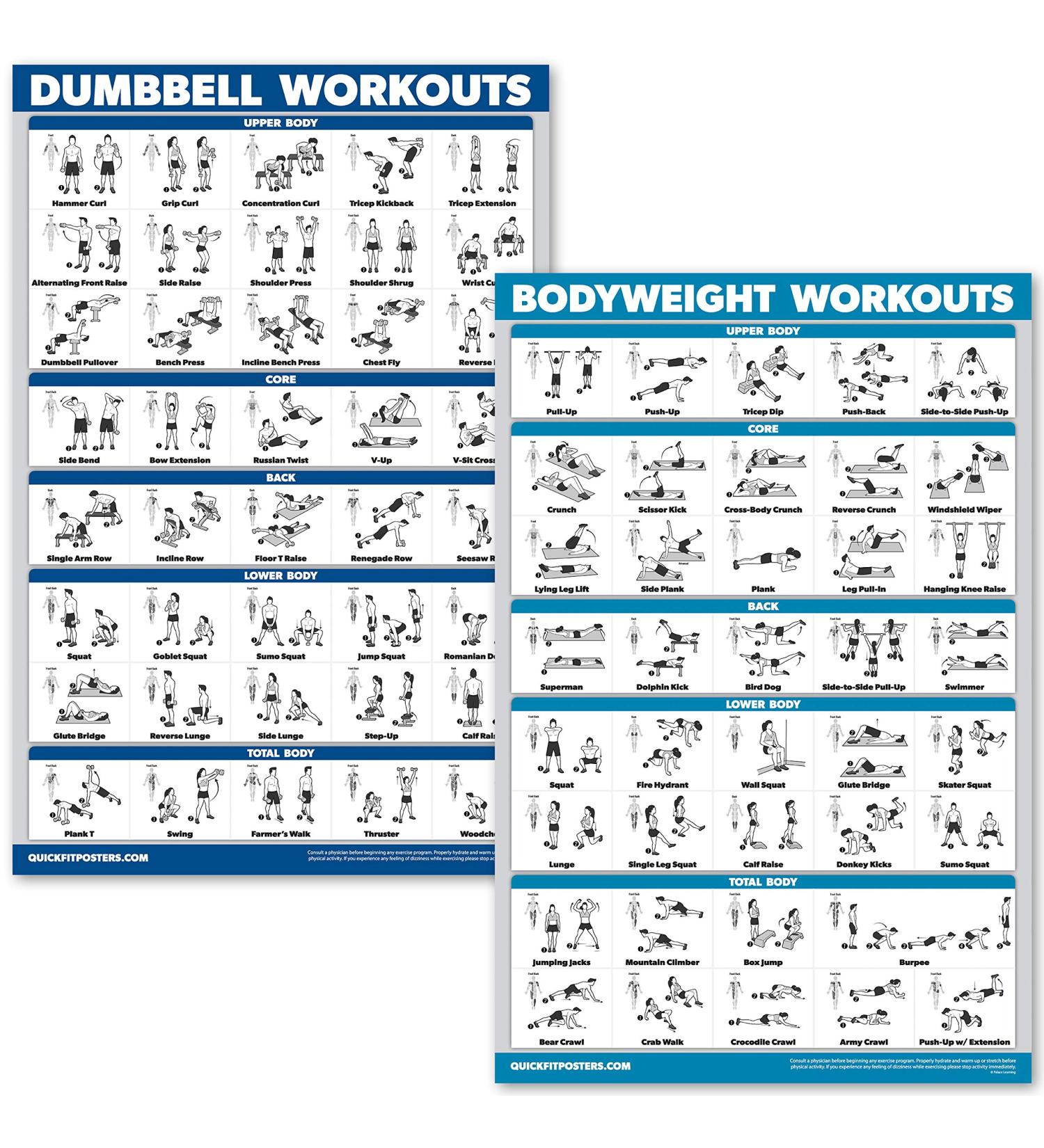 Quickfit Dumbbell Training & Body Weight Exercise Poster - Laminated 2 Diagrams 45.7 x 68.6 cm - Ideal Fitness Routine Guide for Home Workouts - Buy Online on GoSupps.com