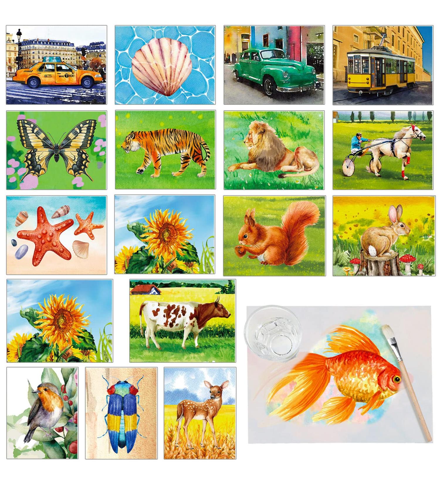 Futreo Dementia Activities for Seniors - 50 Reusable Water Painting Toys with Brush | Alzheimers Patients Water Games - Buy Online on GoSupps.com