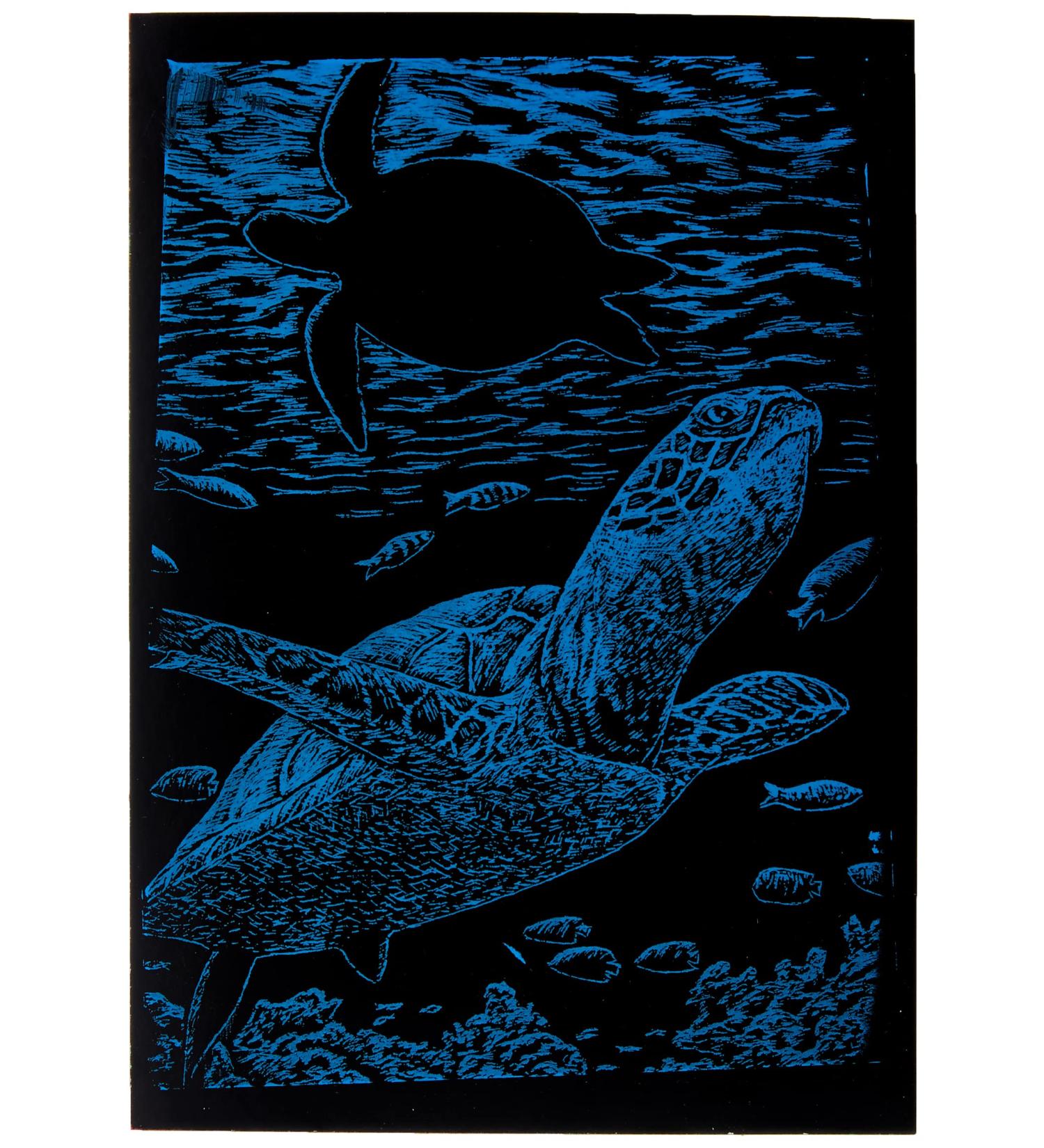 Royal Brush RAIMIN-103 Mini Rainbow Foil Engraving Art Kit - Undersea Turtle Design, 5x7-Inch - Buy Online on GoSupps.com