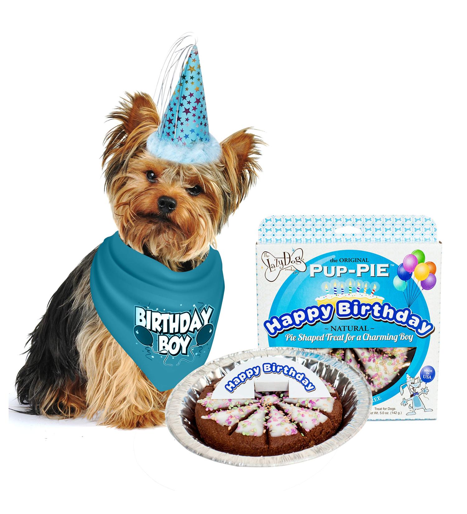 JT PET Dog Birthday Boy Party Pack: Bandana, Star Spangled Hat, Vegan Pie - Large Boy Dog - Buy Online on GoSupps.com