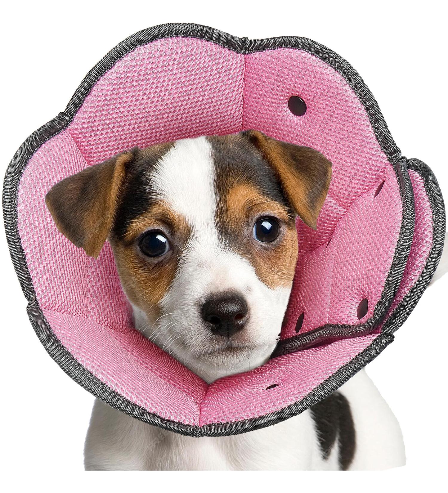 Iecoii Dog Cone - Soft Adjustable Leak Protection Collar for Small Dogs & Cats | Post-Op Licking Prevention - Pink - Buy Online on GoSupps.com