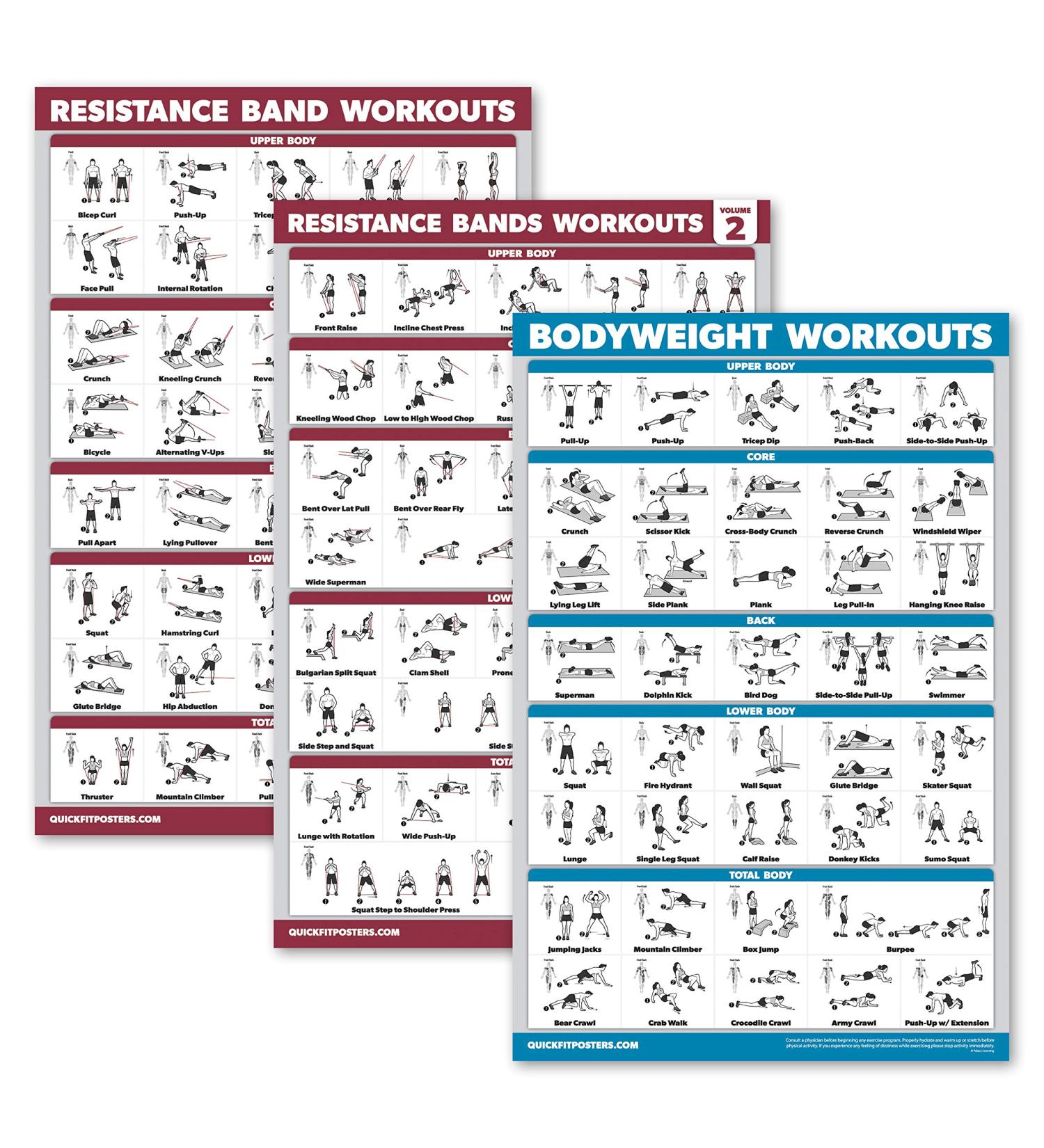 Palace Learning 3-Pack - Resistance Tapes & Bodyweight Exercises Poster Set | 18x24 Laminated Training Tables for Home Workouts - Buy Online on GoSupps.com