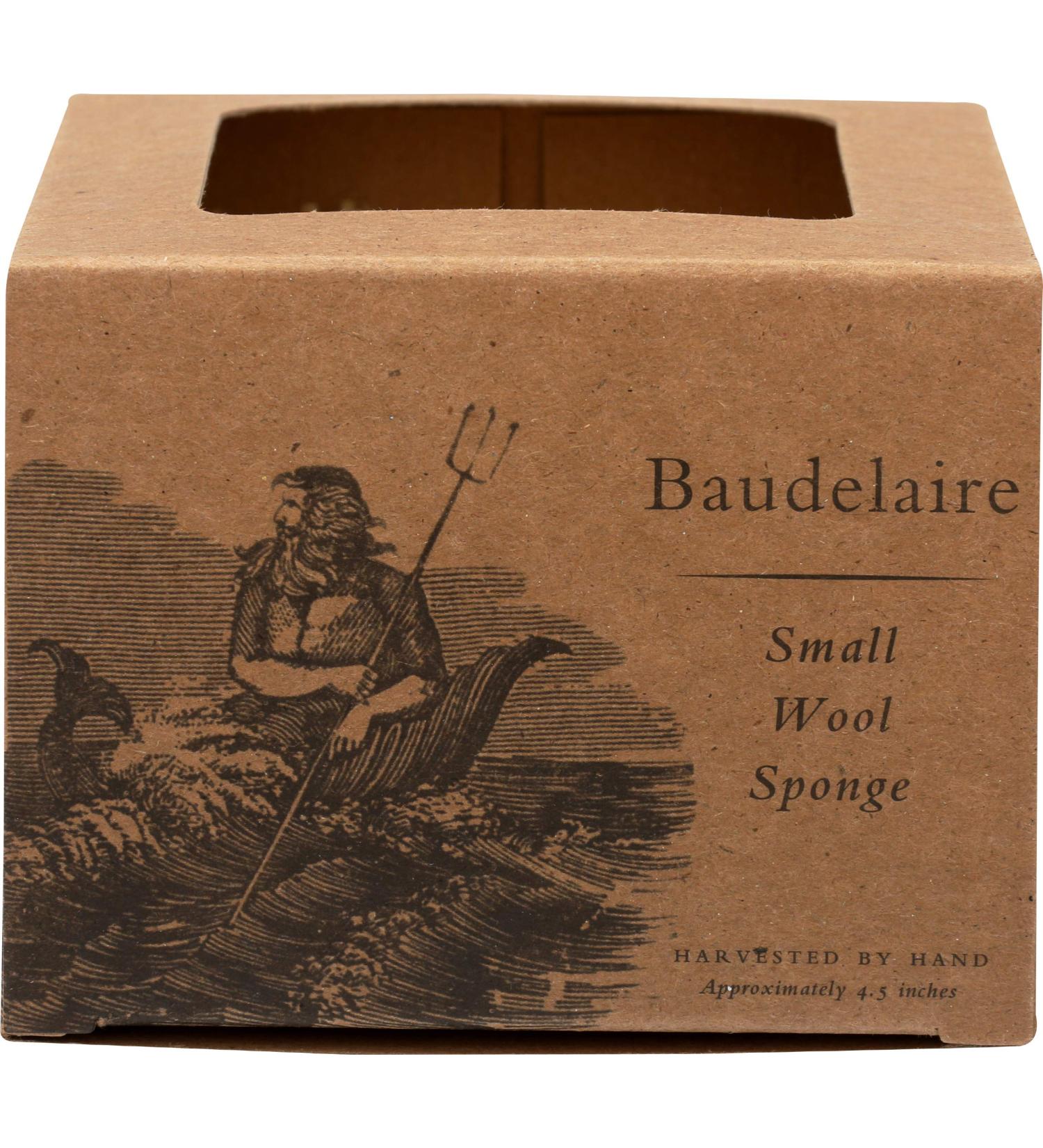 Baudelaire Sea Sponge Caribbean Wool 4.5 - Natural Bath Sponge for Gentle Exfoliation - Buy Online on GoSupps.com