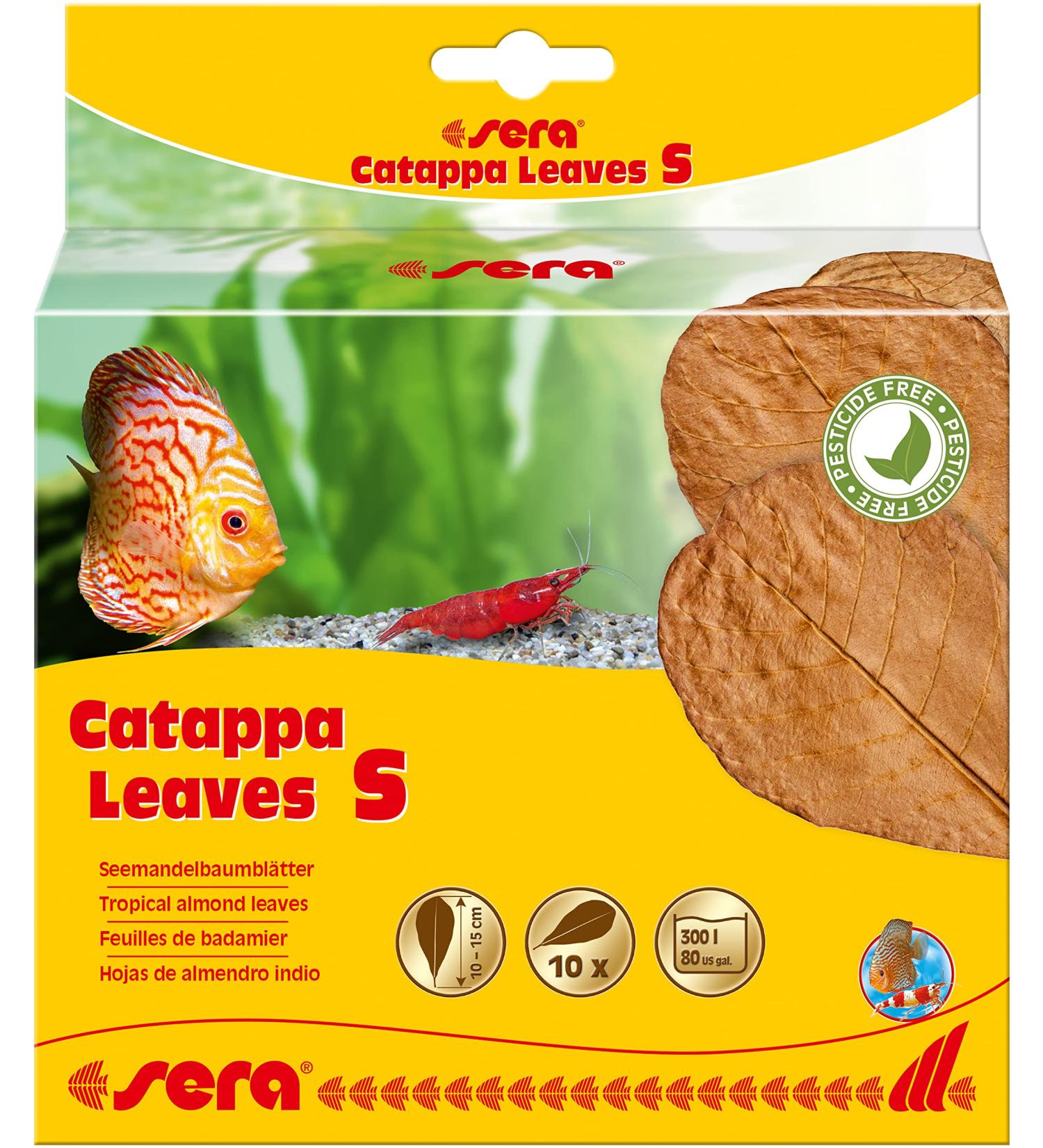 sera Catappa Leaves S 10-15 cm (10pcs) - Catappa leaves for natural water treatment