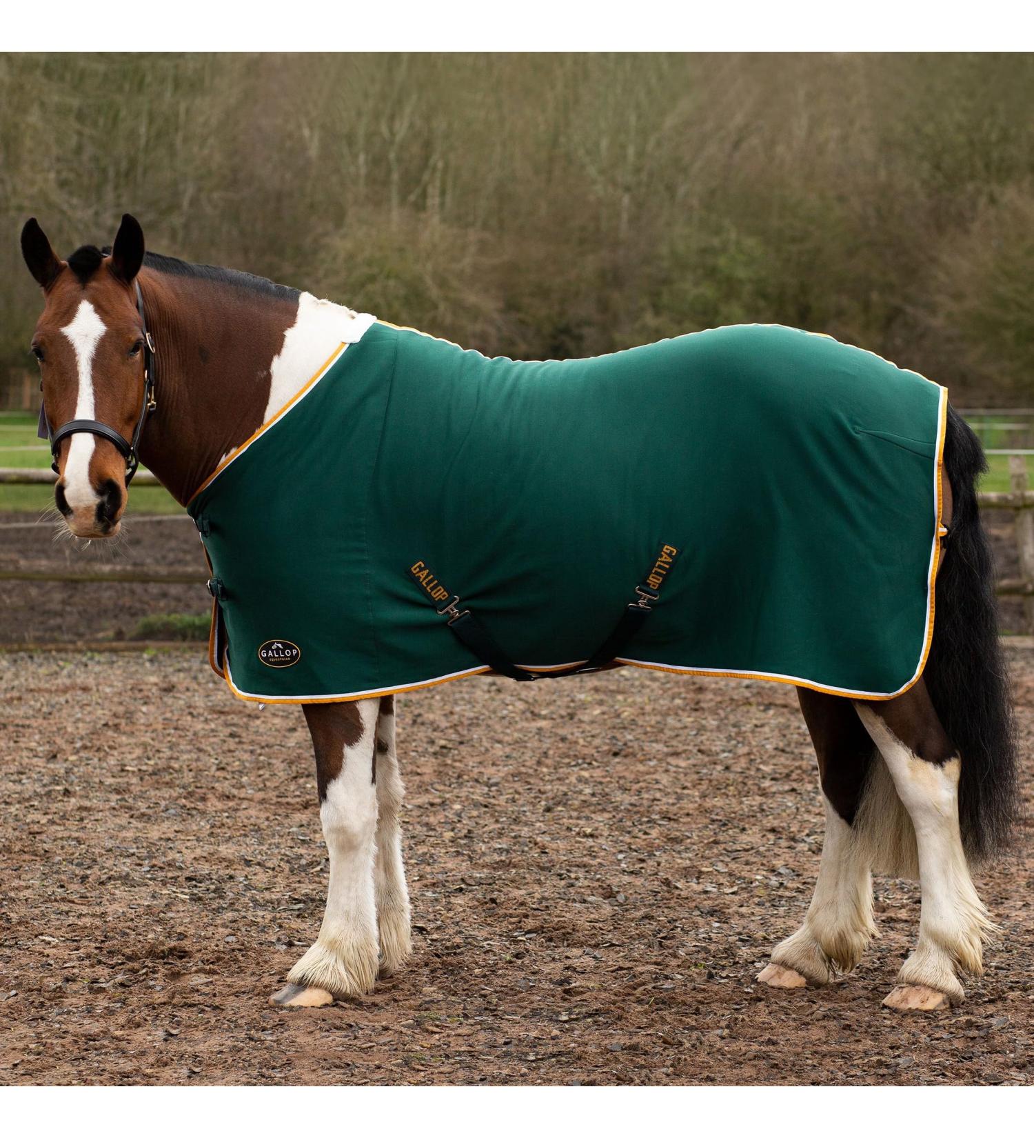 Gallop Jersey Fleece Cooler Rug For Horse Pony Equestrian (5'6" Green)