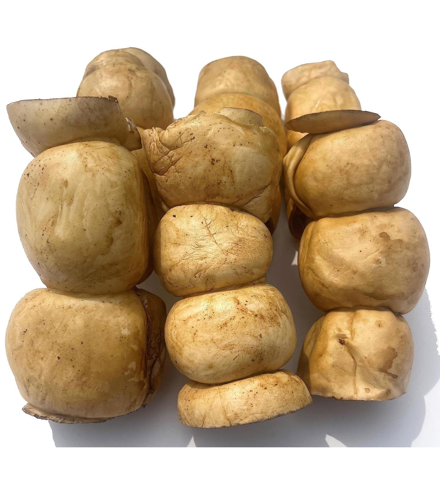 Beef Cheek Rolls Dog CHEW Treat - *(Peanut Butter 6 Pack 6 INCH)* - Original/Peanut Butter/Vanilla Mint Flavors - Single Ingredient - Rawhide Free - Super Thick - All Natural - Long Lasting PEANUT BUTTER 6 PACK 1 count (Pack of 6) - Buy Online on GoSupps.com