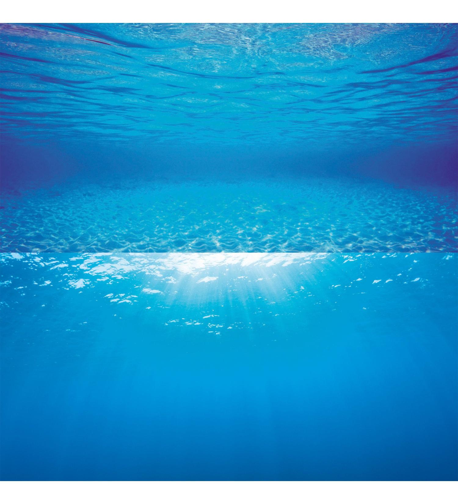 Juwel Poster 2 Blue Extra Large XL - 120 x 60 cm bis 150 x 60 cm - Buy Online on GoSupps.com