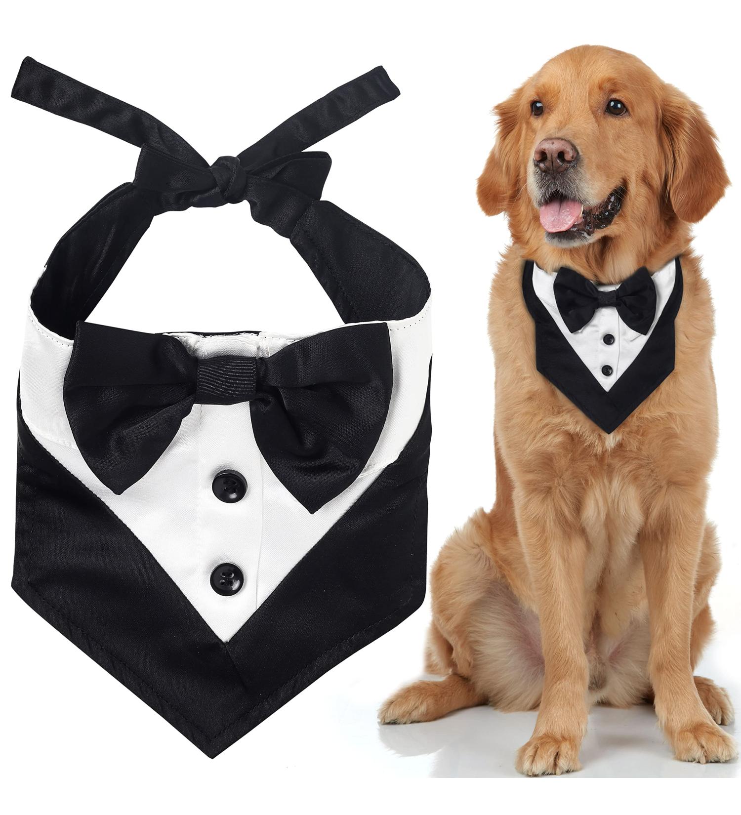 Odi Style Dog Tuxedo for Large Dogs - Wedding Attire with Bow Tie for Dogs - Engagement Gift & Photography Prop - Buy Online on GoSupps.com