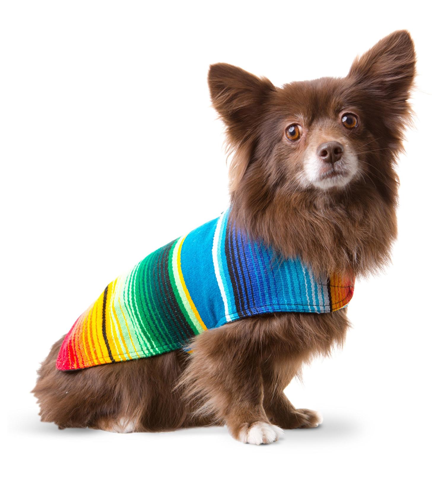 Handmade Blue Small Dog Poncho from Authentic Mexican Blanket by Baja Ponchos - Buy Online on GoSupps.com