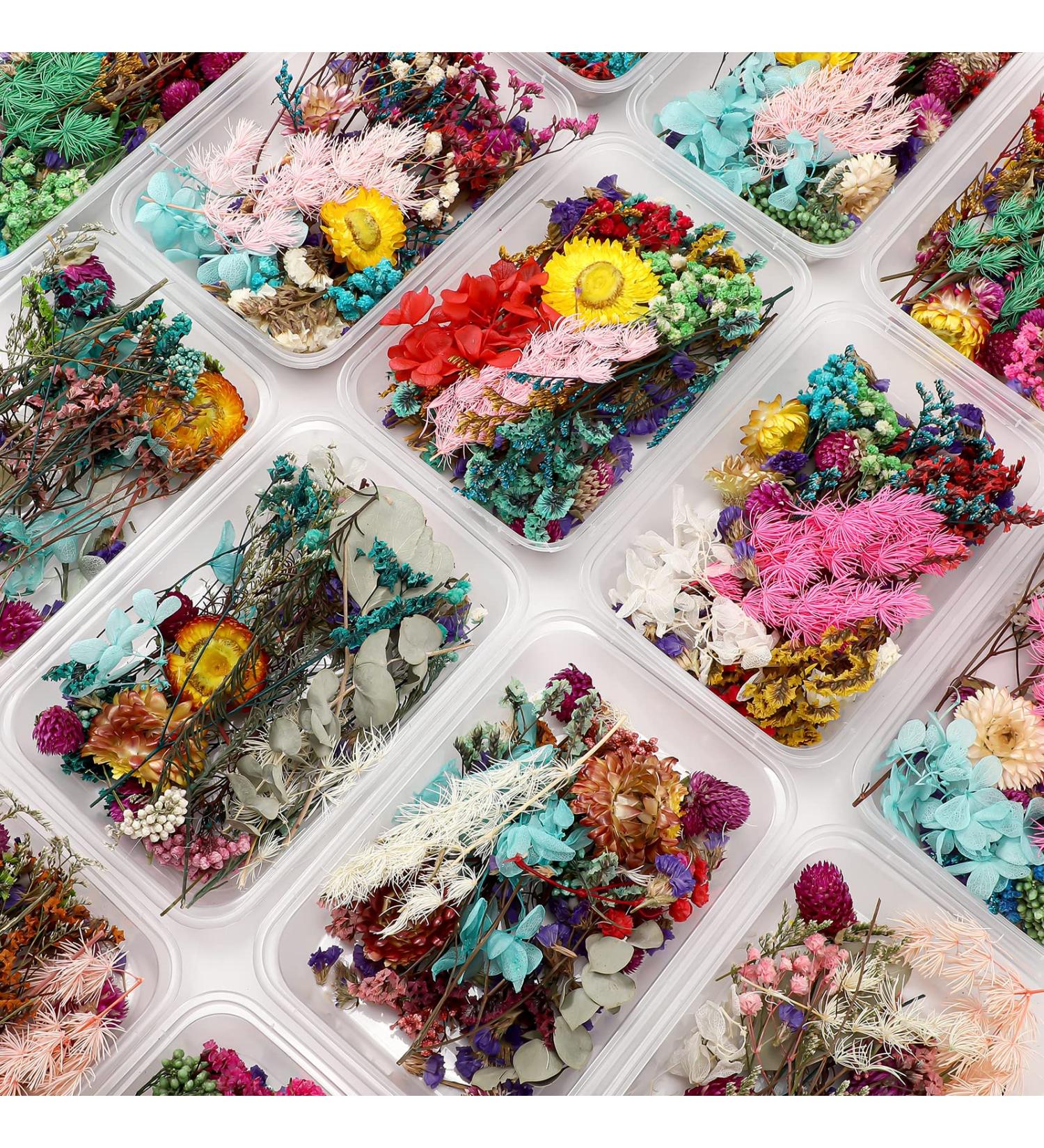6 Boxes Coume Dried Flowers for Resin Crafts - Natural Pressed Dry Flower Leaves for Jewelry Making, Soap DIY, and Floral Decor - Buy Online on GoSupps.com
