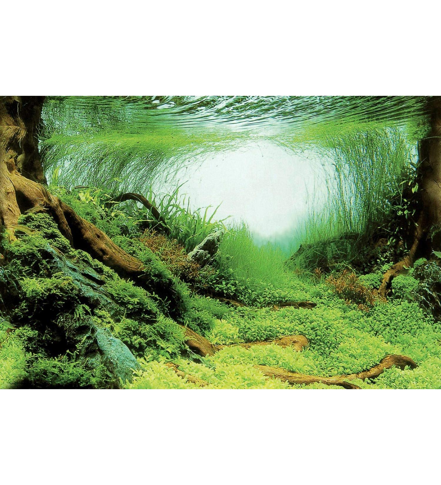 Superfish Deco Poster C1 60cm x 30cm (Mossy Aquascapes) Aquarium Background