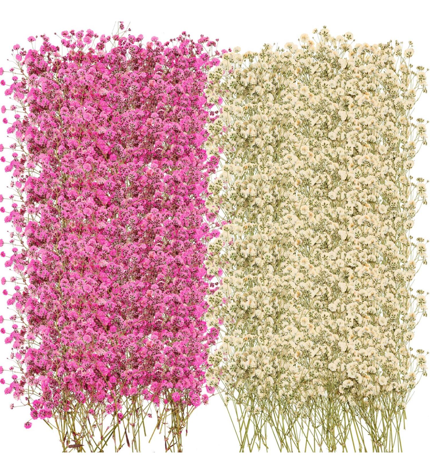 Dried Baby's Breath Flowers - 200 Pcs Natural Gypsophila Branches for Wedding DIY Crafts and Home Decor - 2 Colors - Buy Online on GoSupps.com