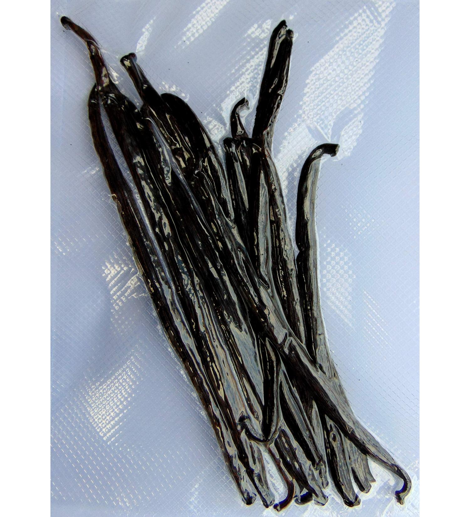 Vanilla Pods, Gourmet/High Quality - PNG - 13+ cm, Net Weight 25 g