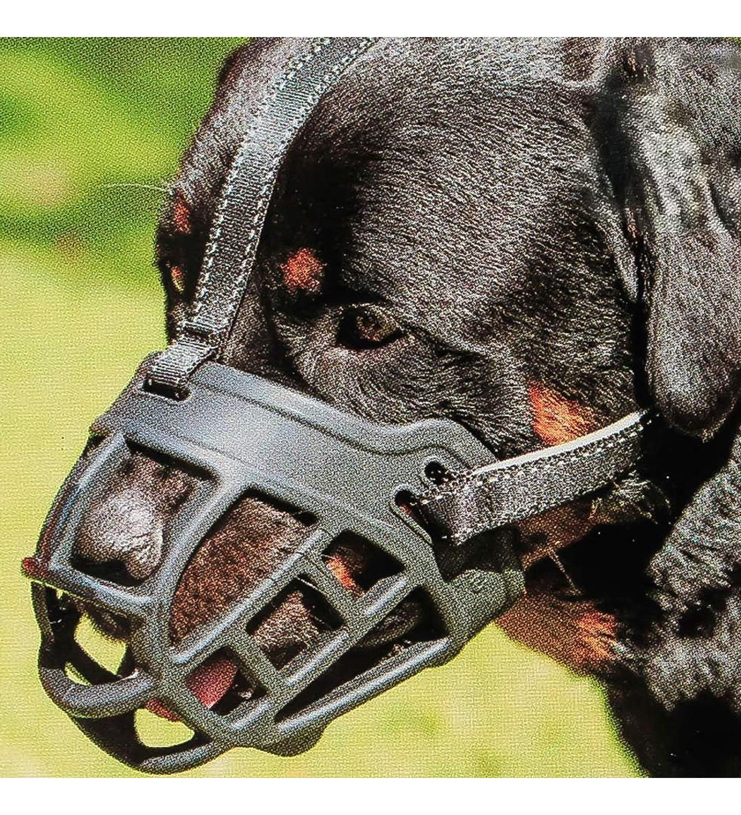Buy Barkless Muzzle for Dogs - Soft Silicone Basket Enables Drinking & Panting Size 5 (Snout 13.5-14.5) - International Shipping Available - Buy Online on GoSupps.com