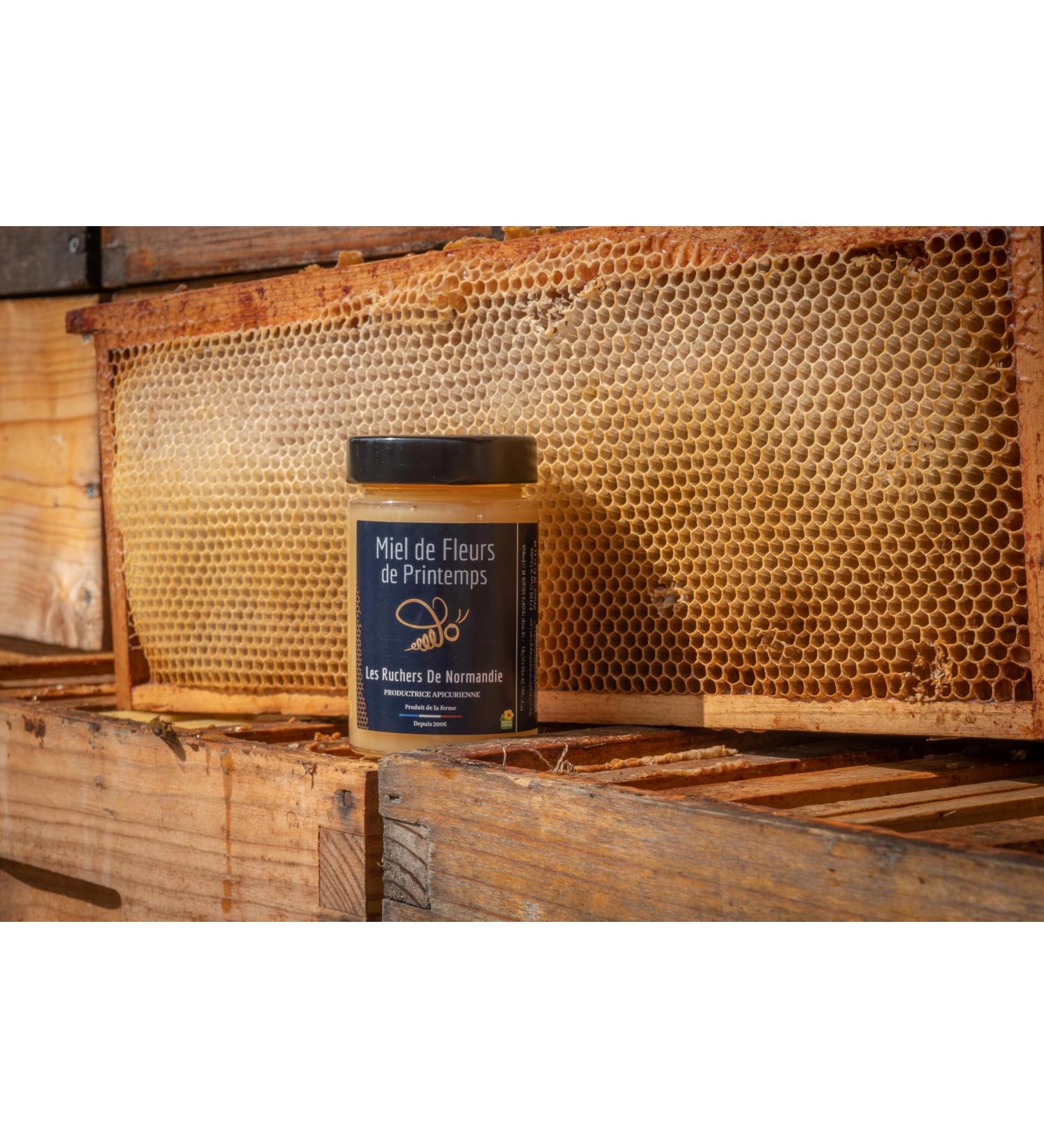 Creamy Spring Flower Honey 250g - Buy Online on GoSupps.com