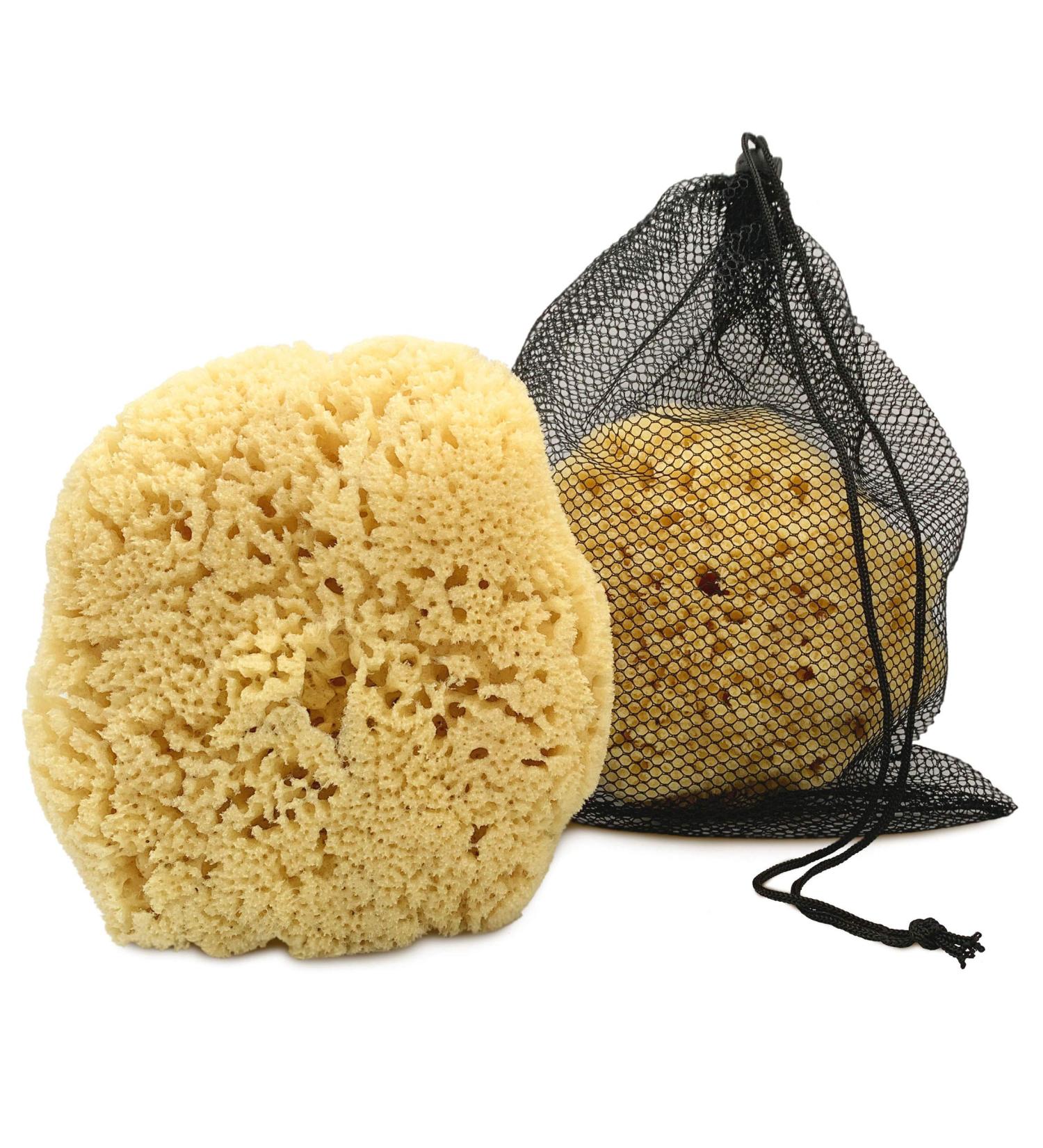 Constantia Man - Extra Large 6-7 Real Sea Sponge for Men | Natural & Gentle Shower Sponge in Mesh Bag | Ideal for Gym, Grooming, Bath | Perfect Gift - Buy Online on GoSupps.com