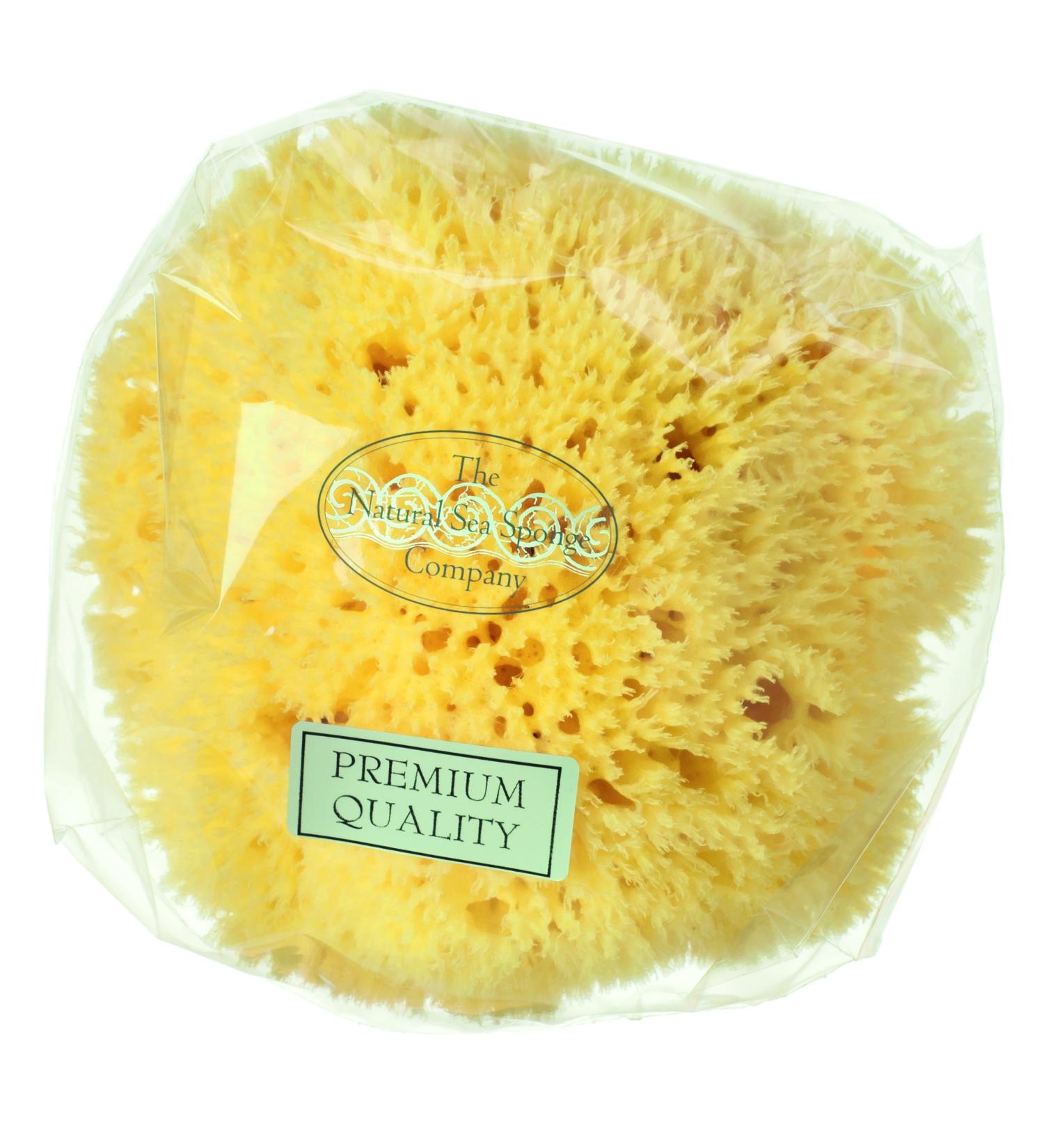 Hydrea London Sea Sponge - Buy Online on GoSupps.com