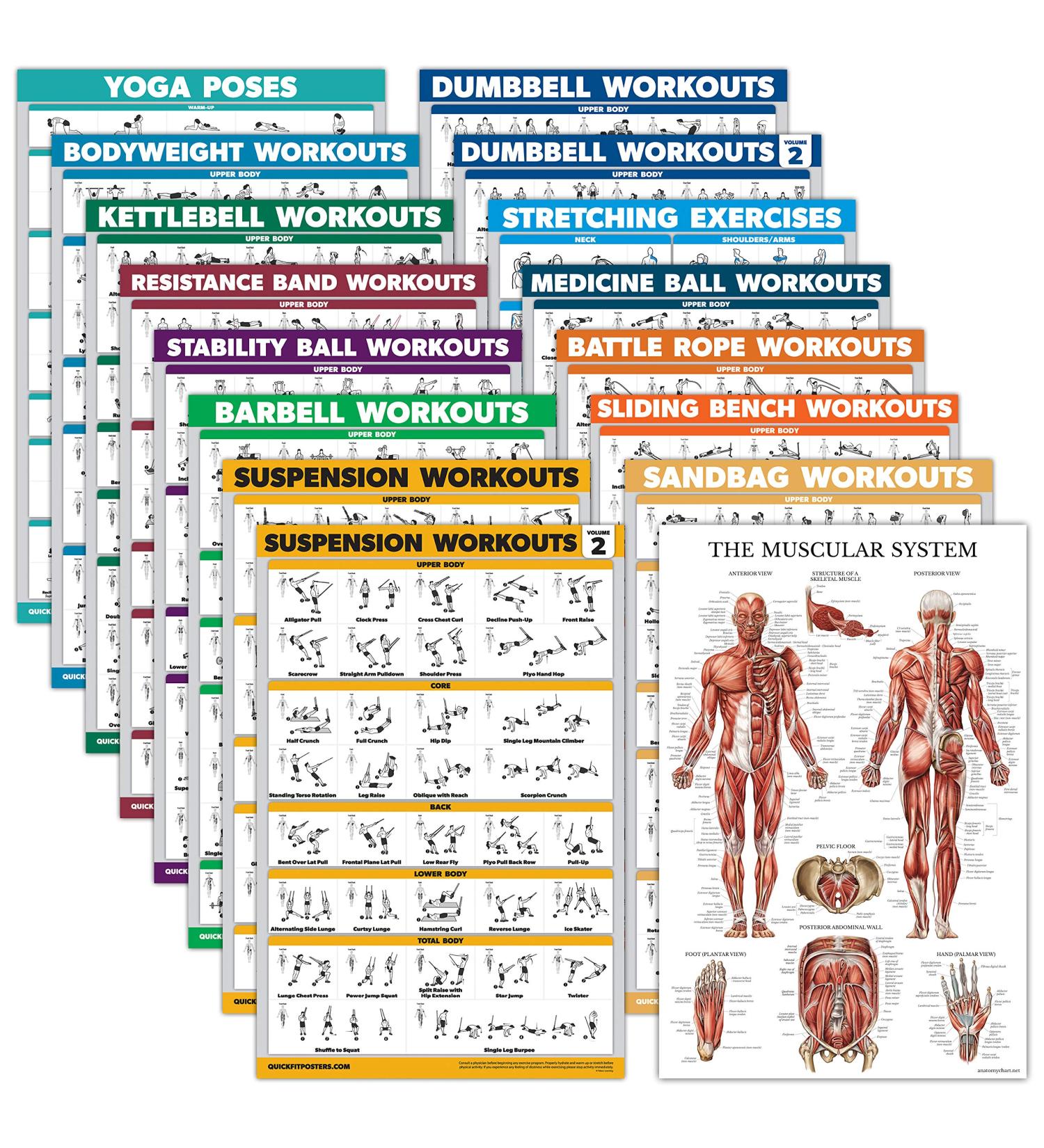 Exercise Poster Set - 16 Laminated Fitness Posters for Dumbbell Yoga Resistance Straps & More - 18 x 24 inches - Buy Online on GoSupps.com