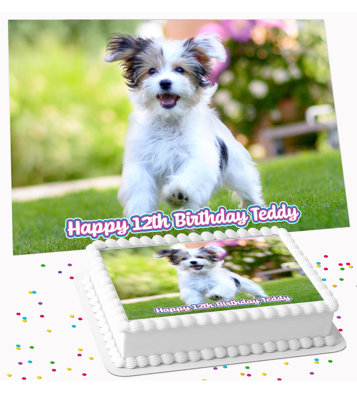 YOUR OWN PHOTO IMAGE BIRTHDAY PARTY ICING EDIBLE COSTCO CAKE TOPPER DECORATION PX744