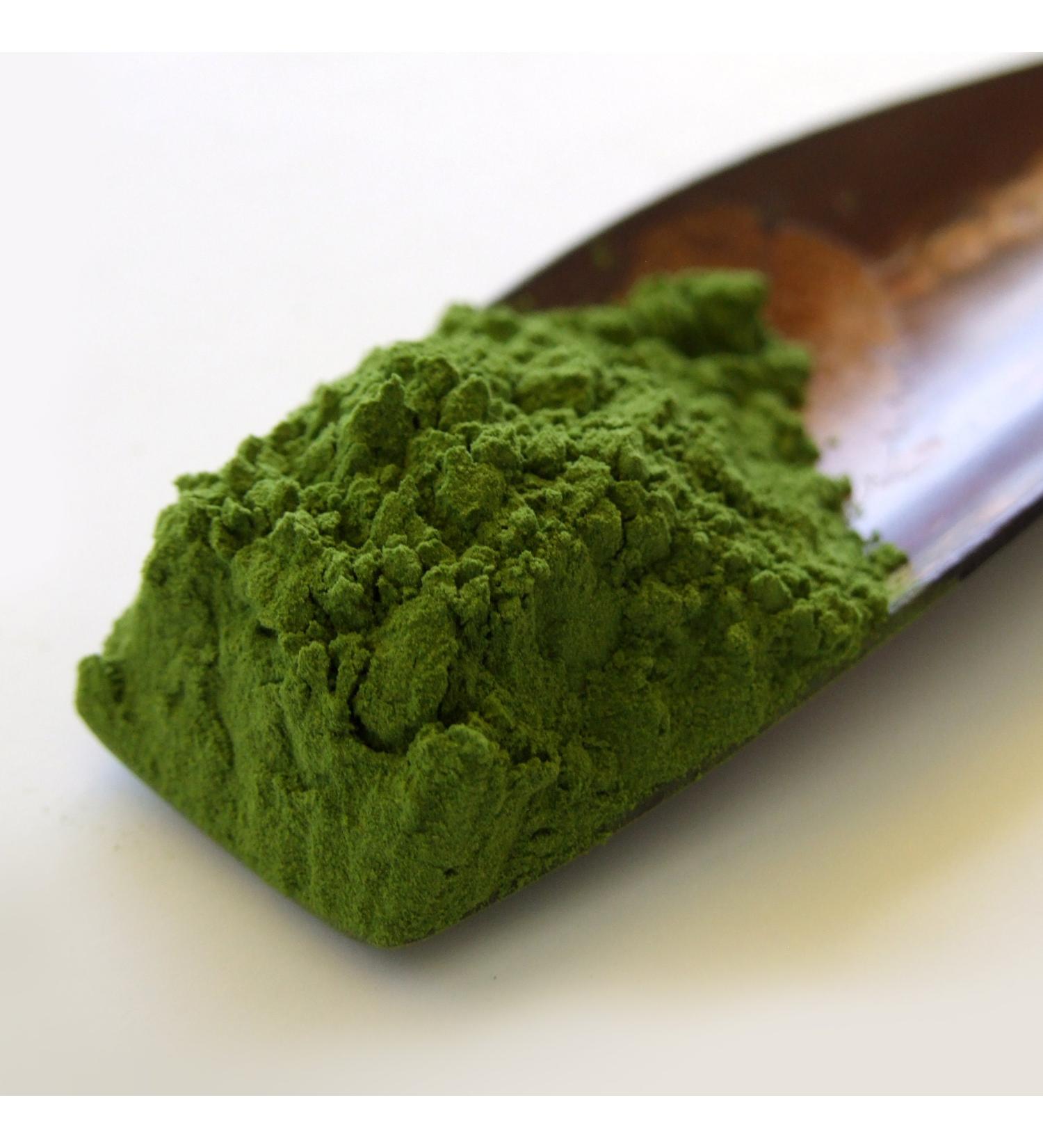 Ceremonial Grade Japanese Matcha Green Tea Powder 40g Caddy 40 g (Pack of 1)